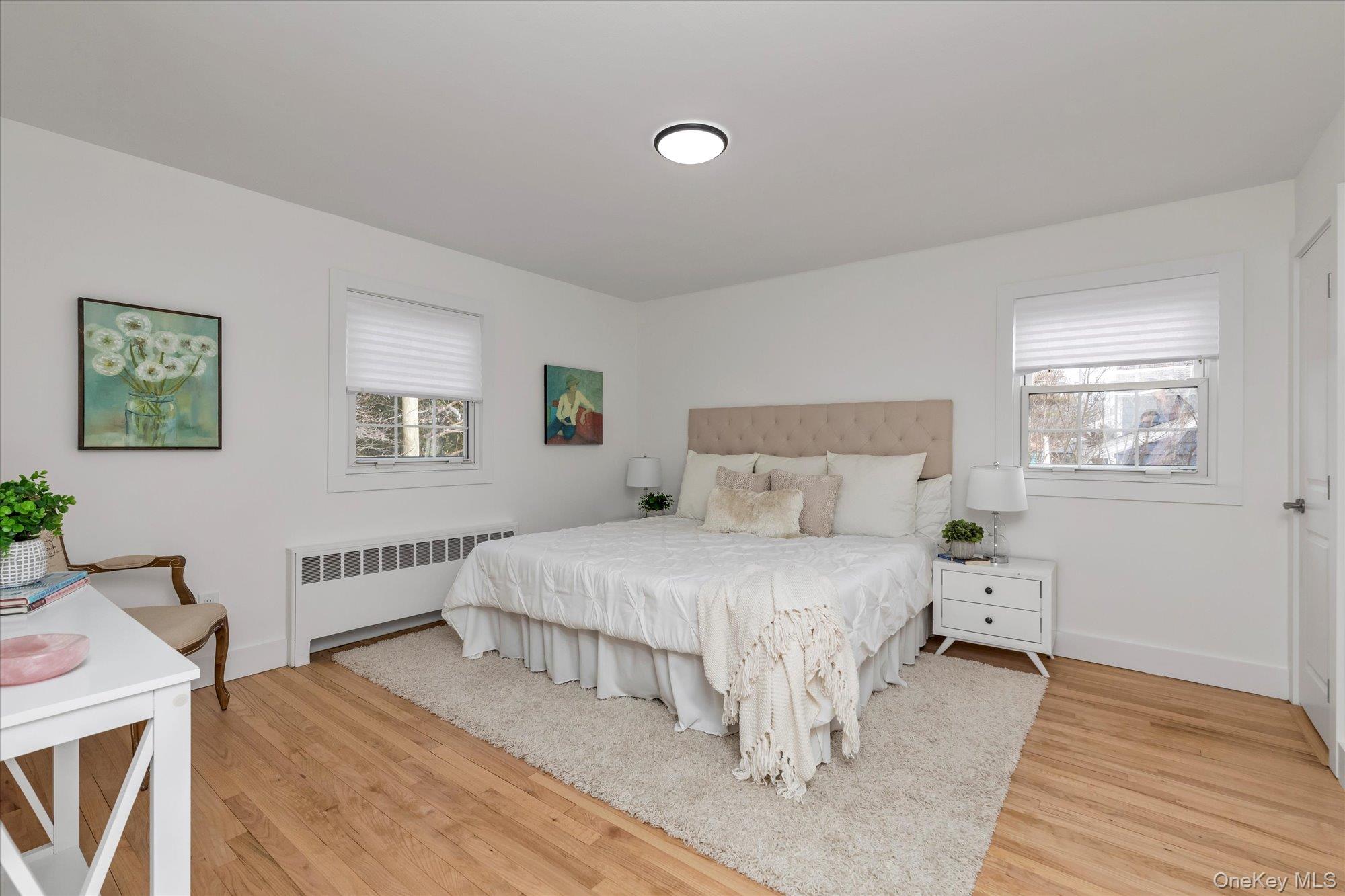 #13 photo, 513 Dee Court, ناسو East Meadow , NY 11554