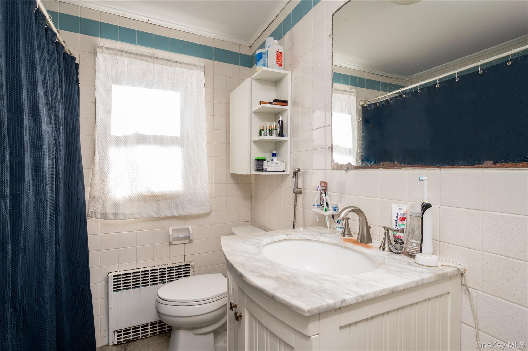 #15 photo, 30 1St Street, 롱 아일랜드 New Hyde Park , NY 11040