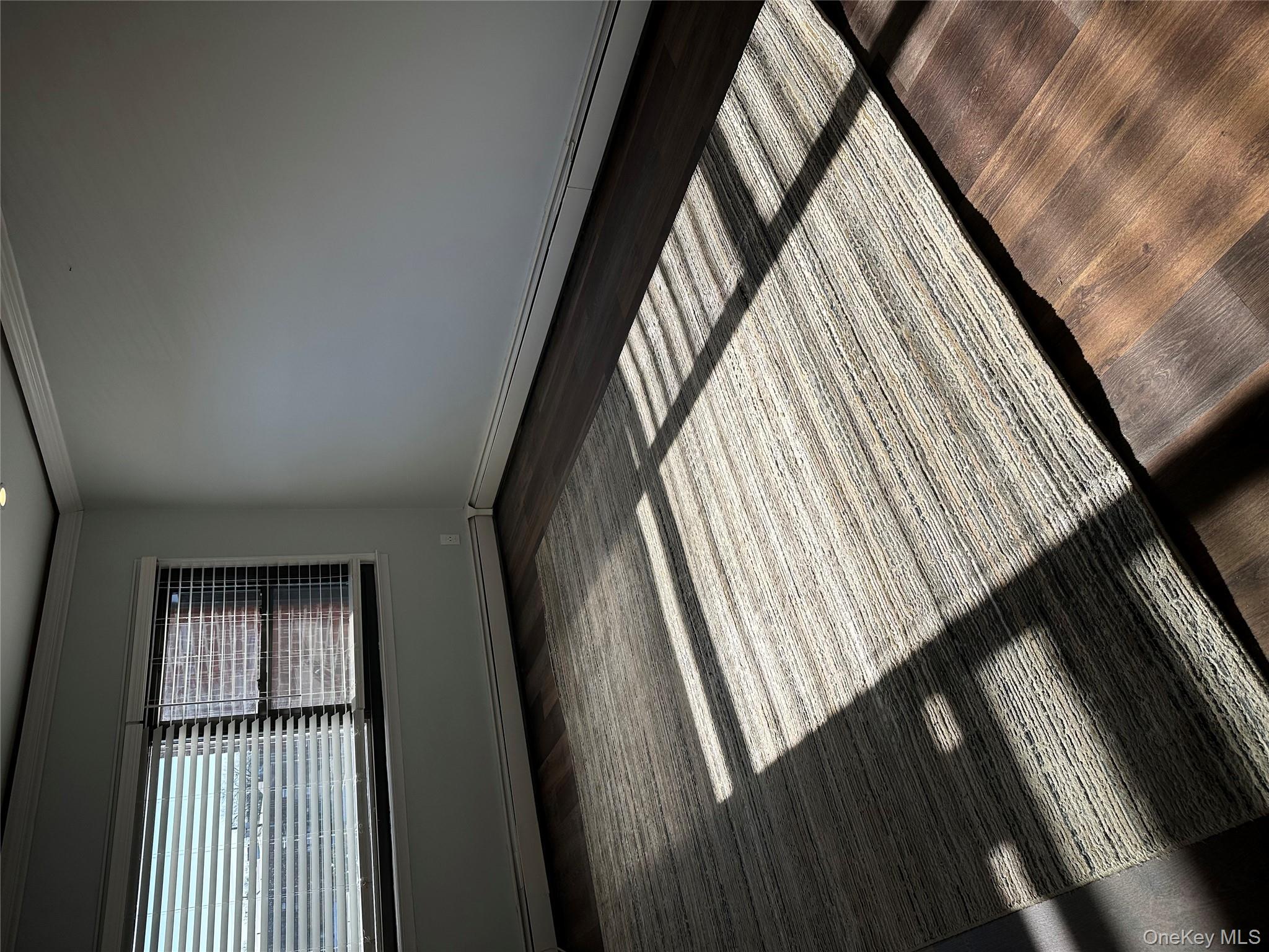 #15 photo, 55 Tulip Avenue, ناسو Floral Park , NY 11001