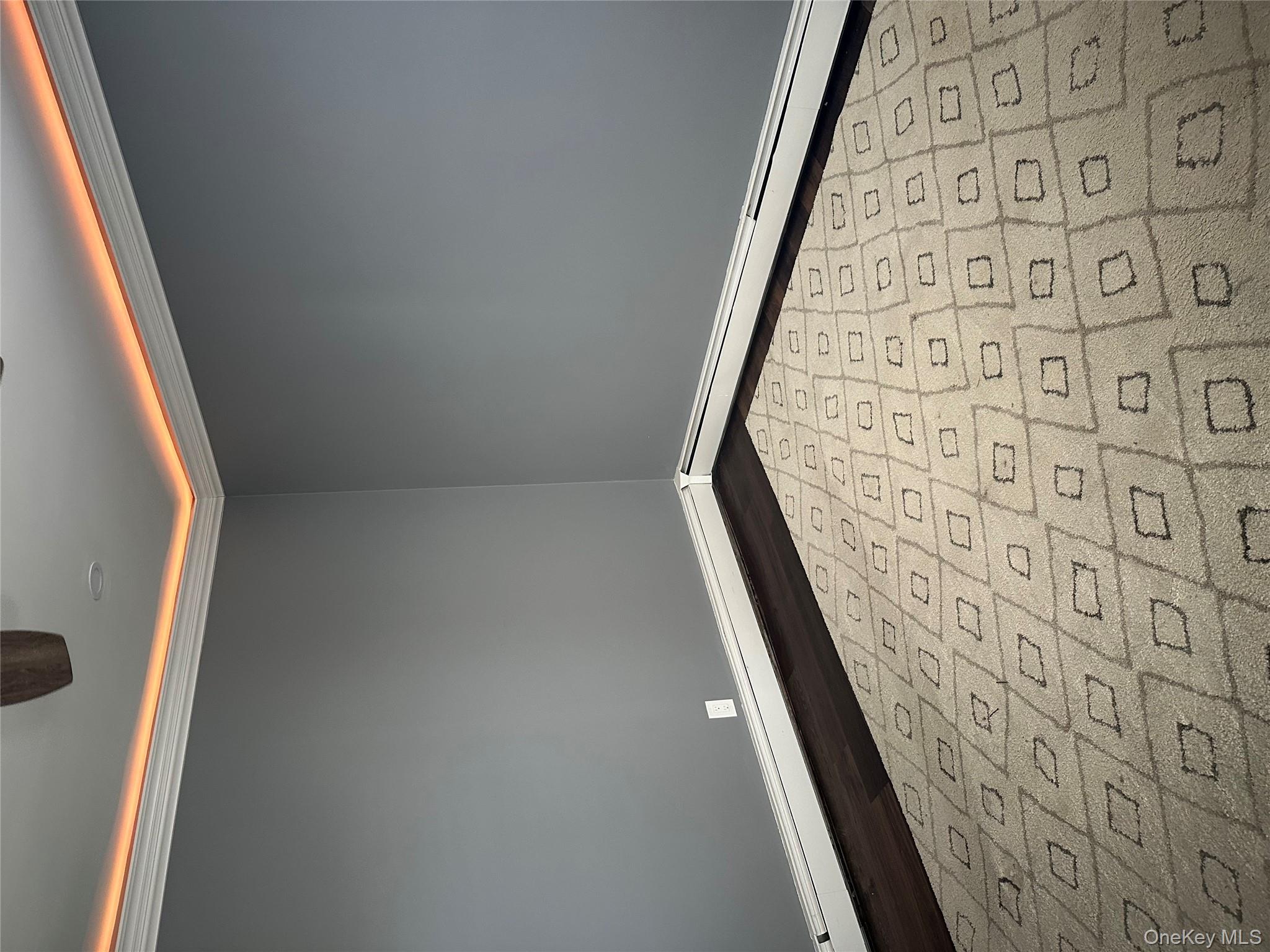 #3 photo, 55 Tulip Avenue, ناسو Floral Park , NY 11001