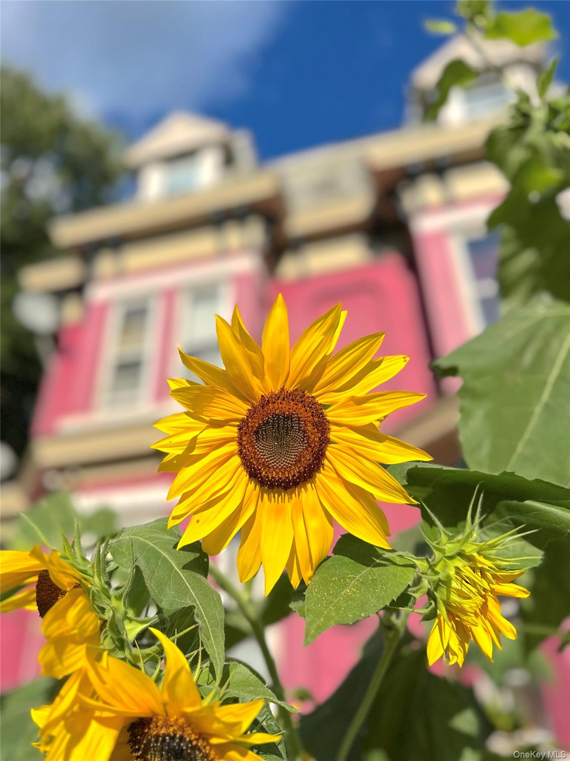 #18 photo, 240 Grand Street, Newburgh , NY 12550