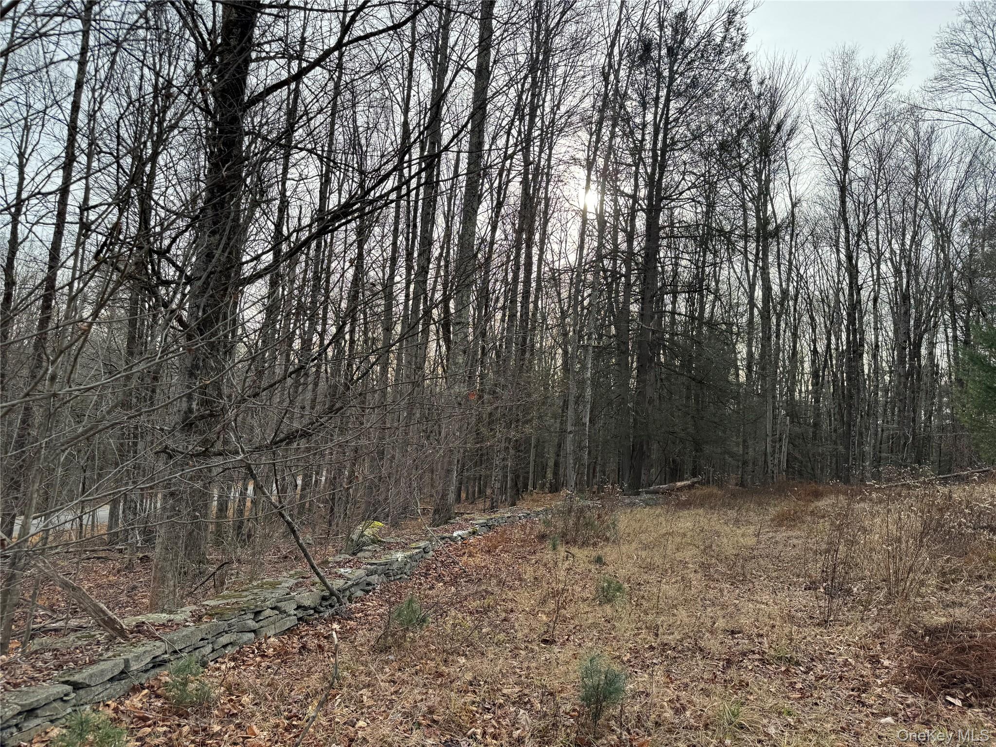 #13 photo, Hilltop Road, 뉴욕주 Monticello , NY 12701