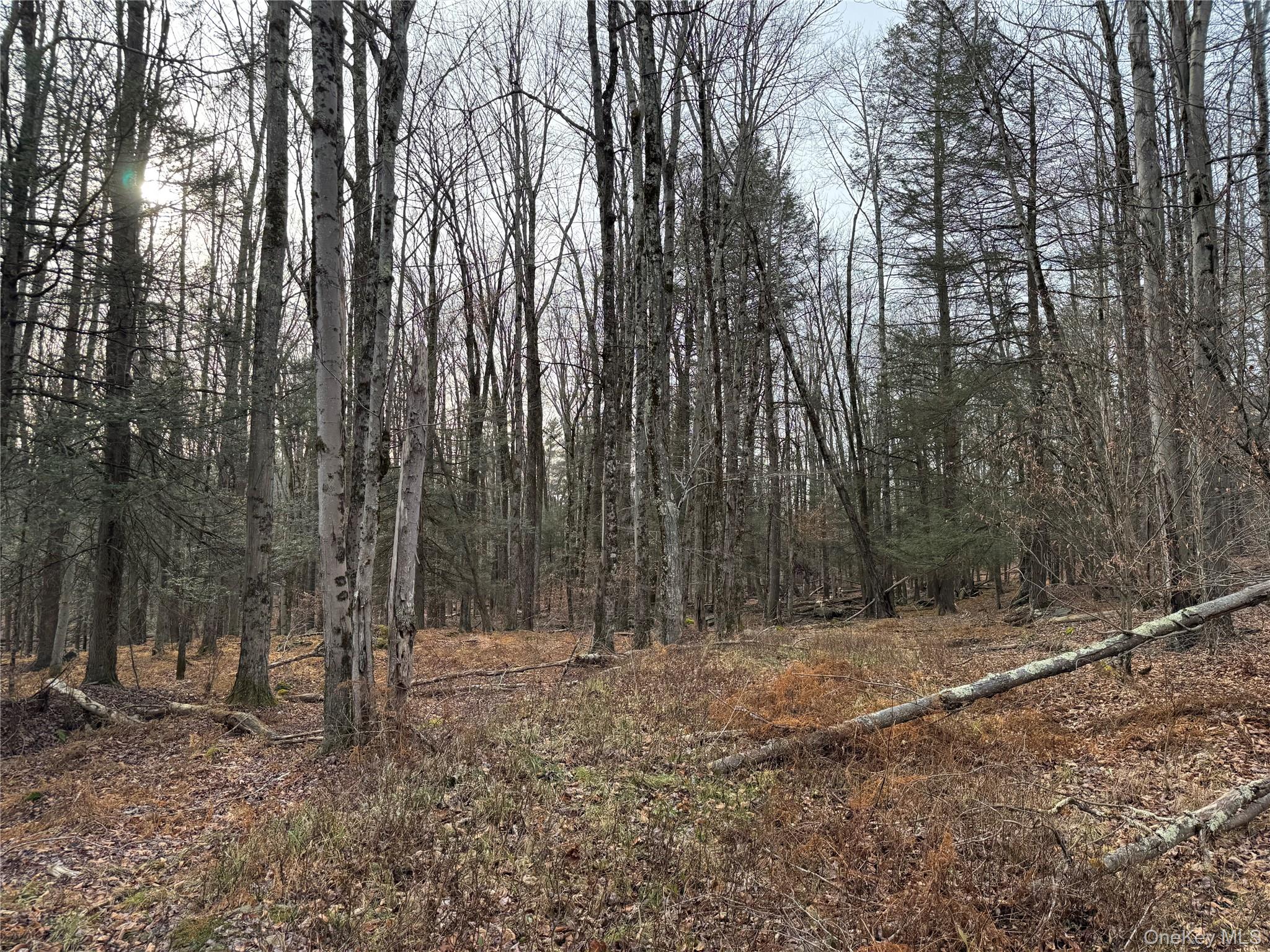 #14 photo, Hilltop Road, 뉴욕주 Monticello , NY 12701