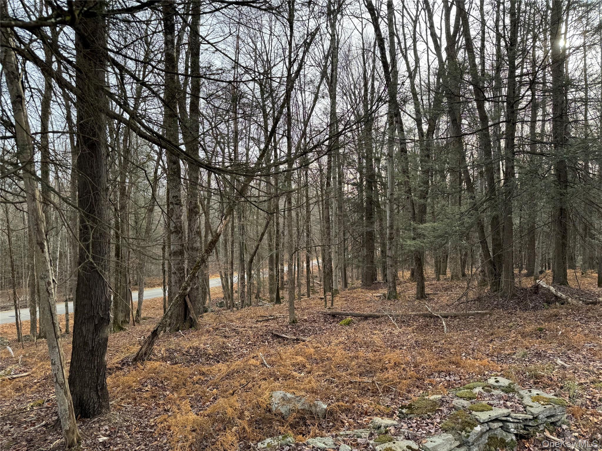 #15 photo, Hilltop Road, 뉴욕주 Monticello , NY 12701