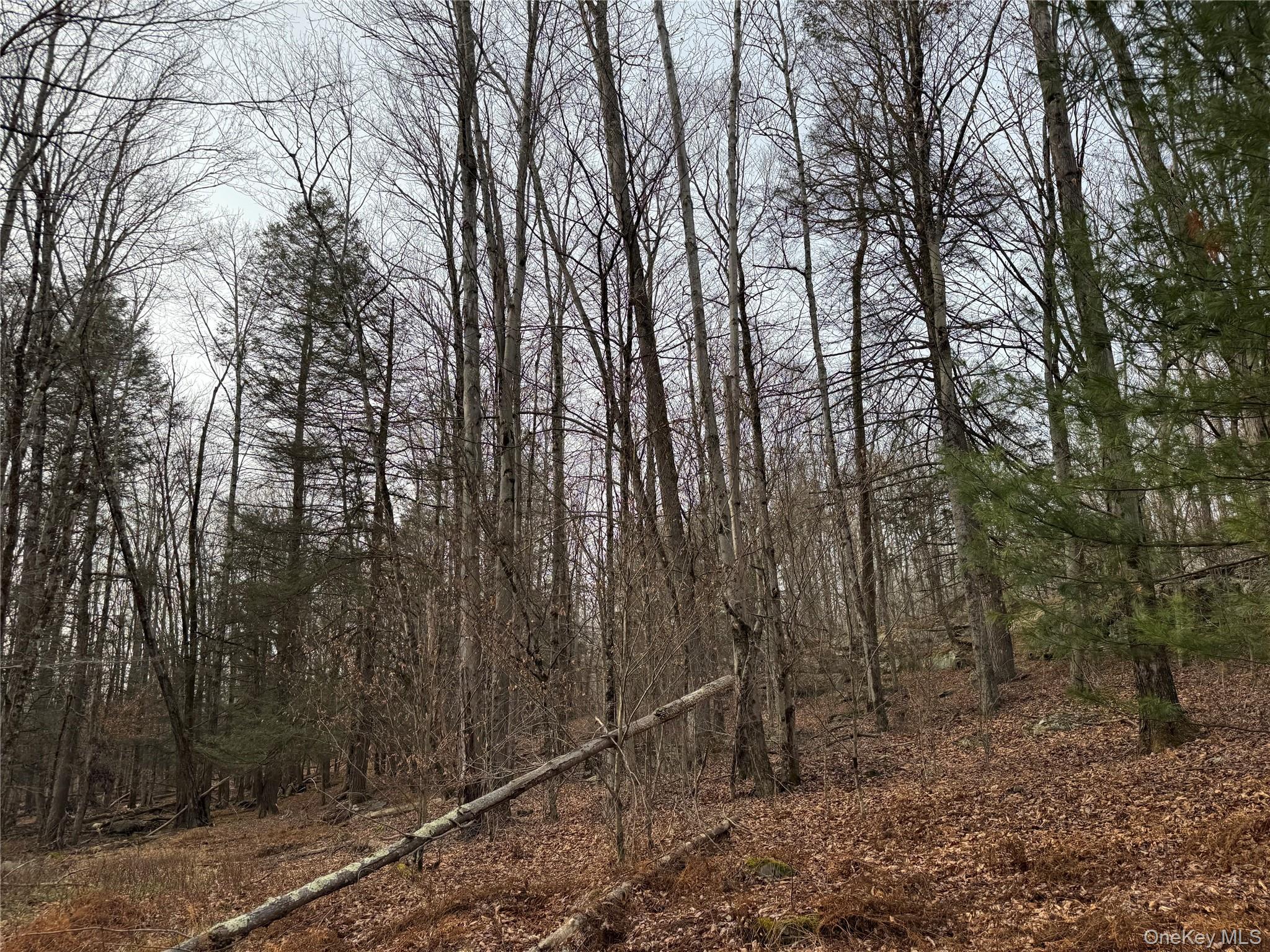 #16 photo, Hilltop Road, 뉴욕주 Monticello , NY 12701