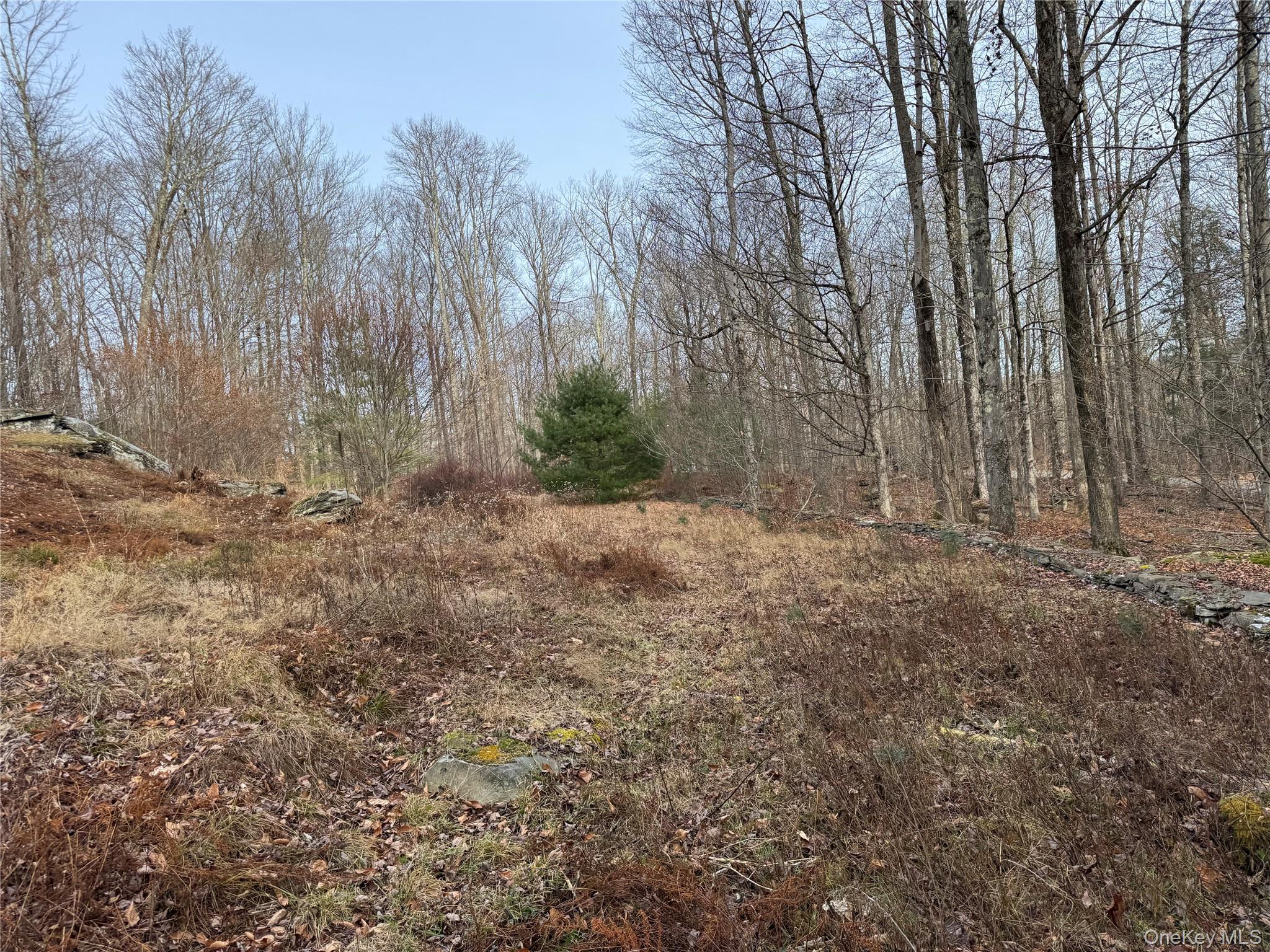 #17 photo, Hilltop Road, 뉴욕주 Monticello , NY 12701