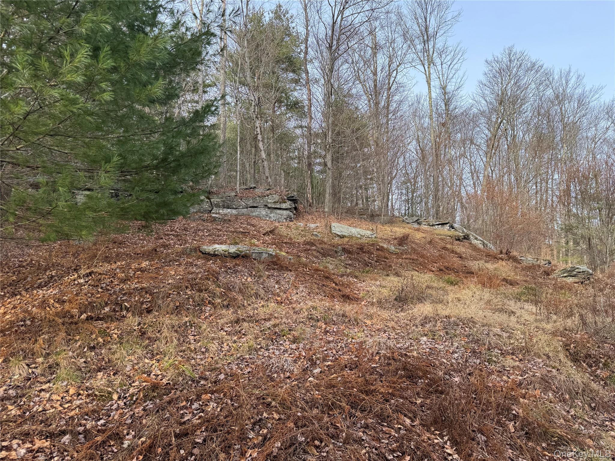 #2 photo, Hilltop Road, 뉴욕주 Monticello , NY 12701