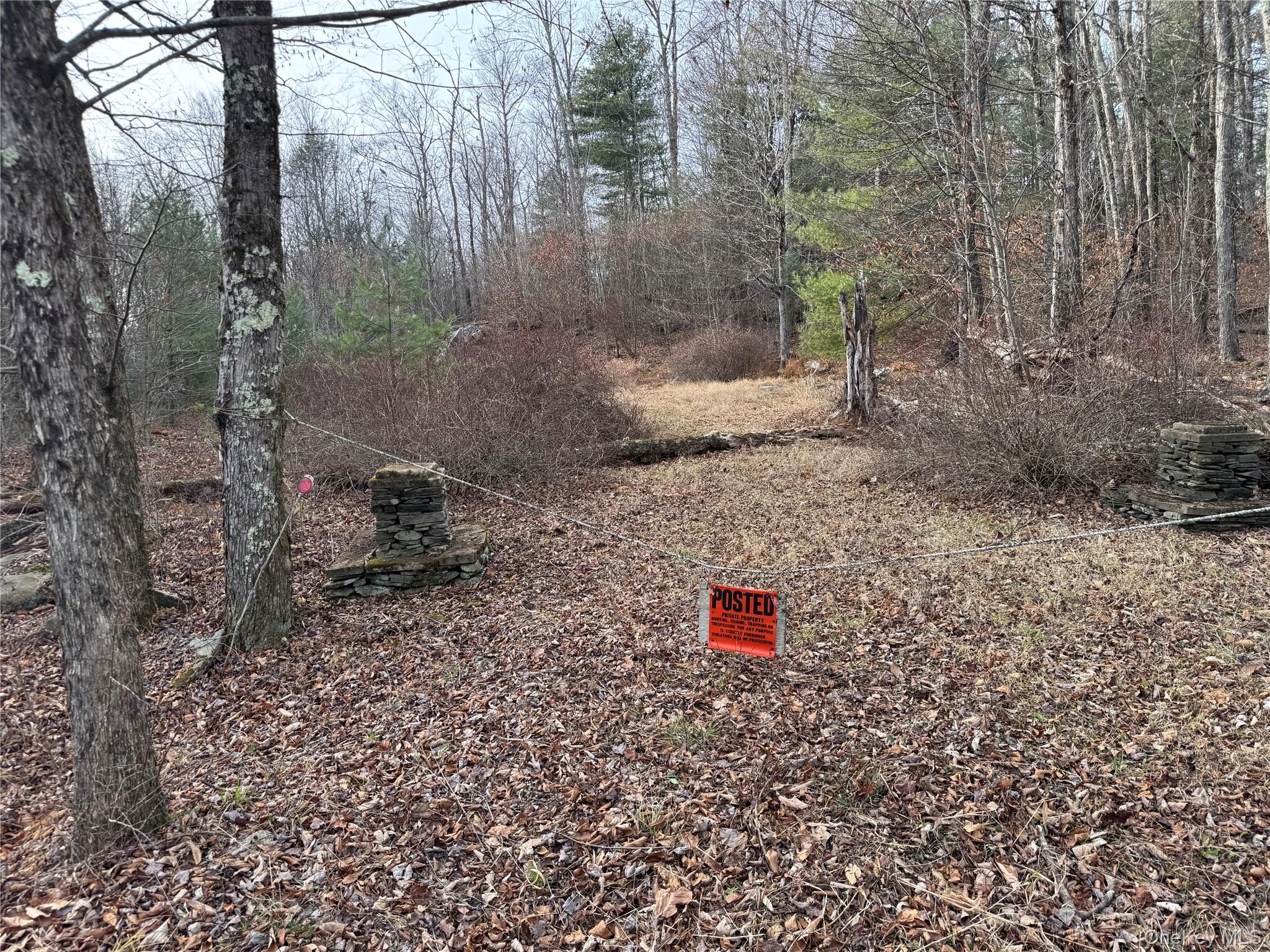 #5 photo, Hilltop Road, 뉴욕주 Monticello , NY 12701