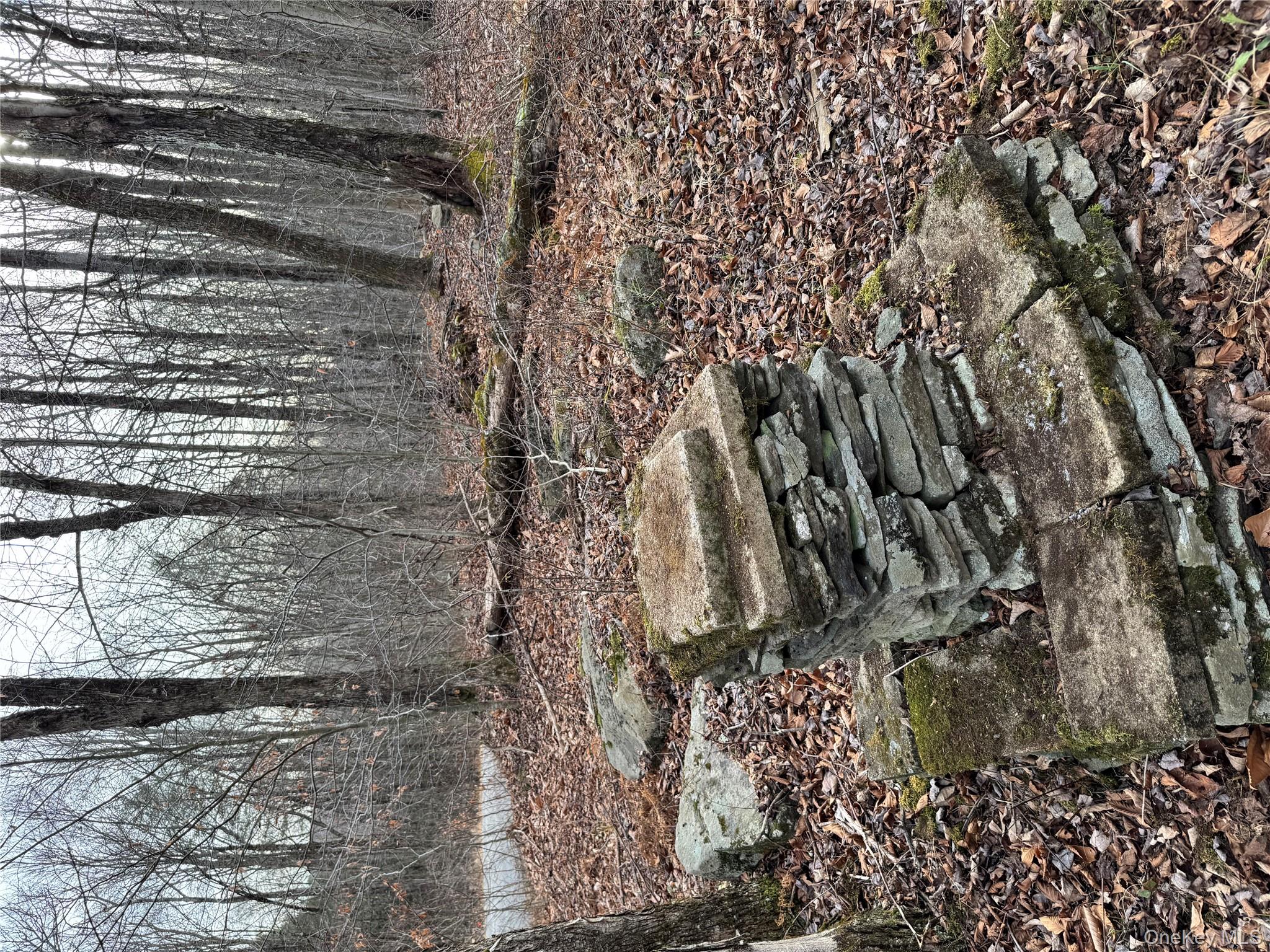 #6 photo, Hilltop Road, 뉴욕주 Monticello , NY 12701