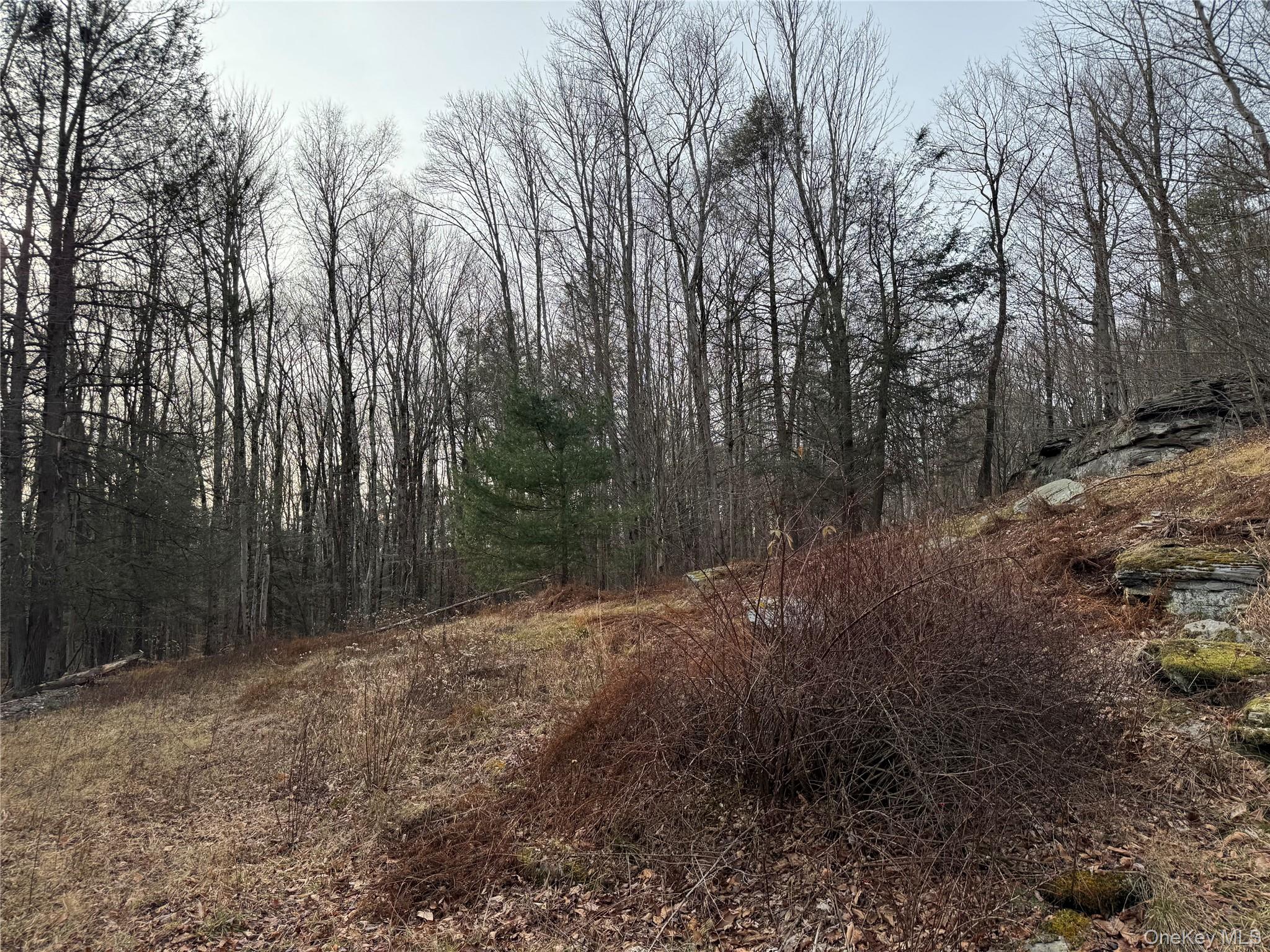 #9 photo, Hilltop Road, 뉴욕주 Monticello , NY 12701