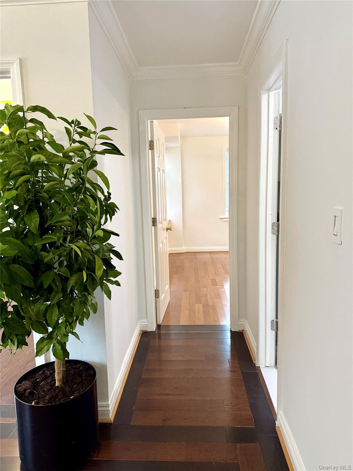 #1 photo, 1145 Astor Avenue, برونكس Bronx , NY 10469