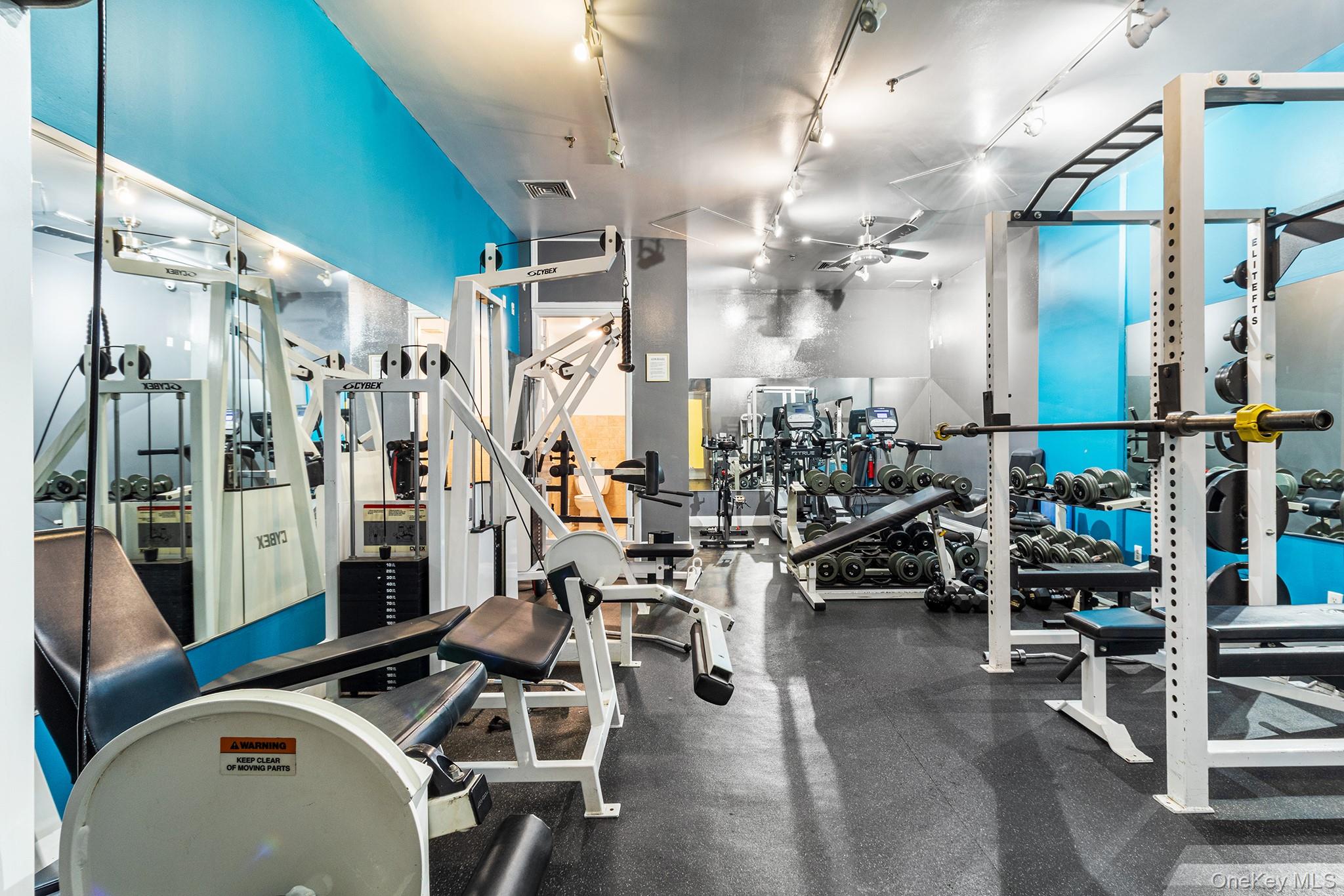 #18 photo, 176 Johnson Street, Brooklyn , NY 11201