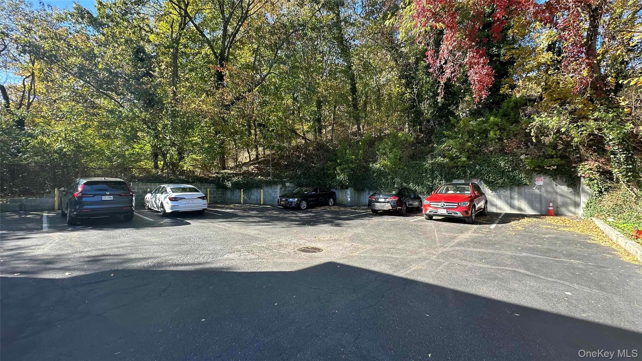 #10 photo, 64 Pine Hollow Road, नासाउ काउंटी Oyster Bay , NY 11771