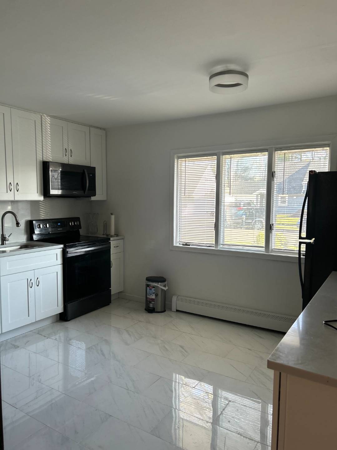 #4 photo, 178 Brittle Ln, ناسو Hicksville , NY 11801