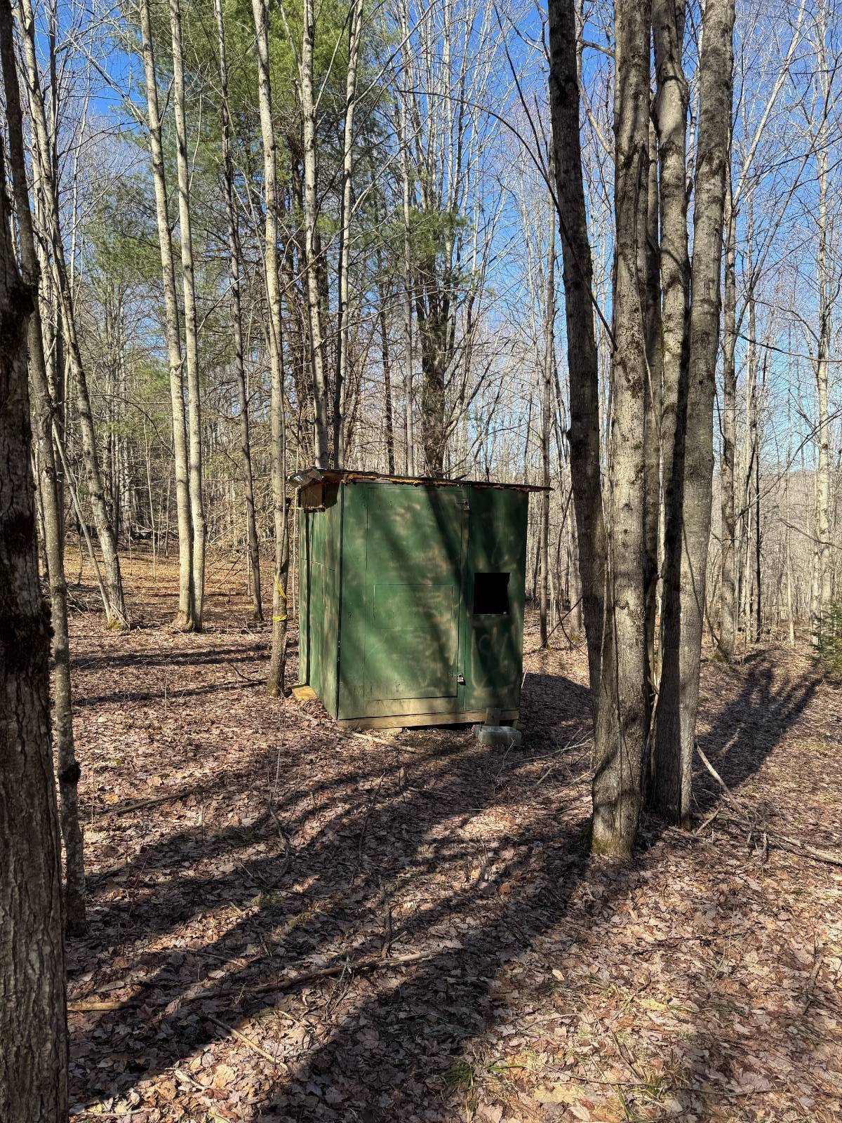 #10 photo, 351 Center Road, 纽约州 Schenevus , NY 12155