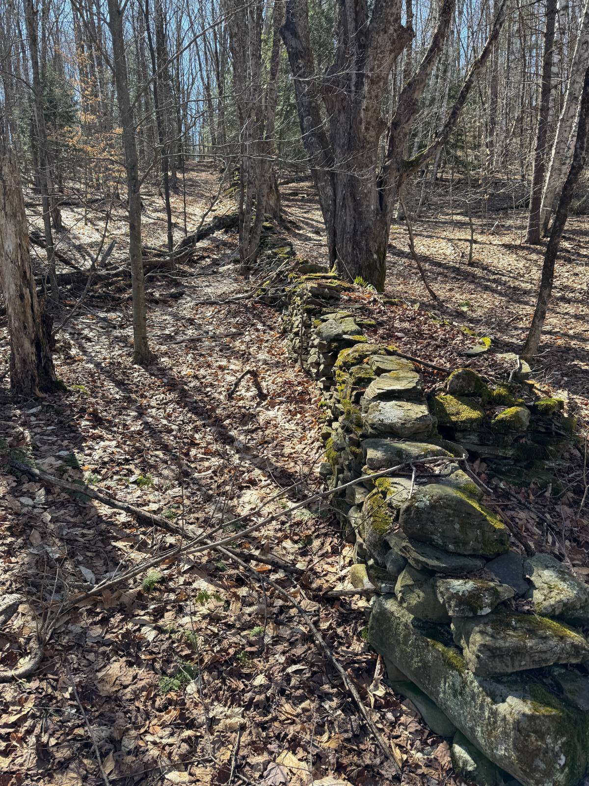 #12 photo, 351 Center Road, 纽约州 Schenevus , NY 12155