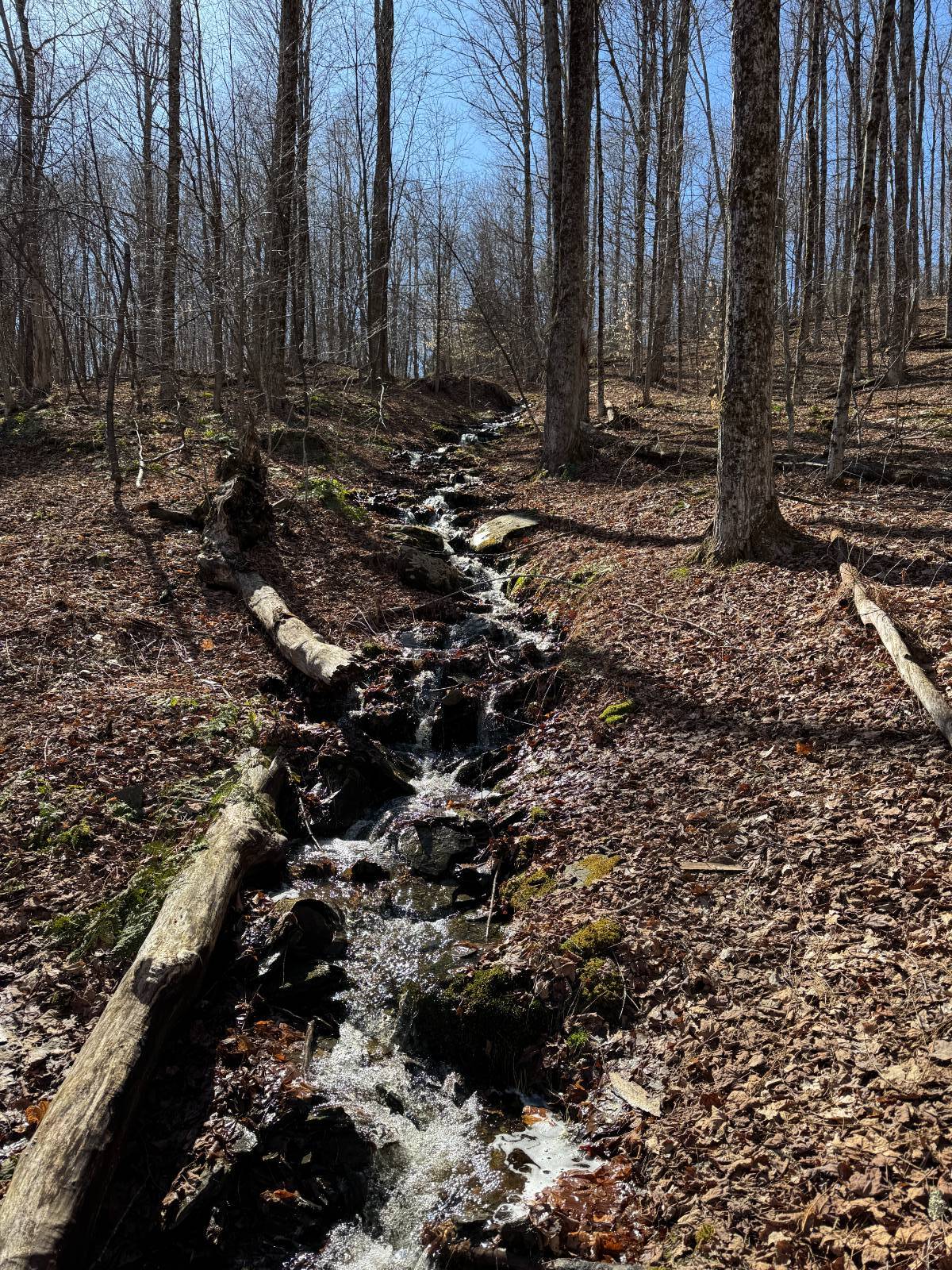 #13 photo, 351 Center Road, 纽约州 Schenevus , NY 12155