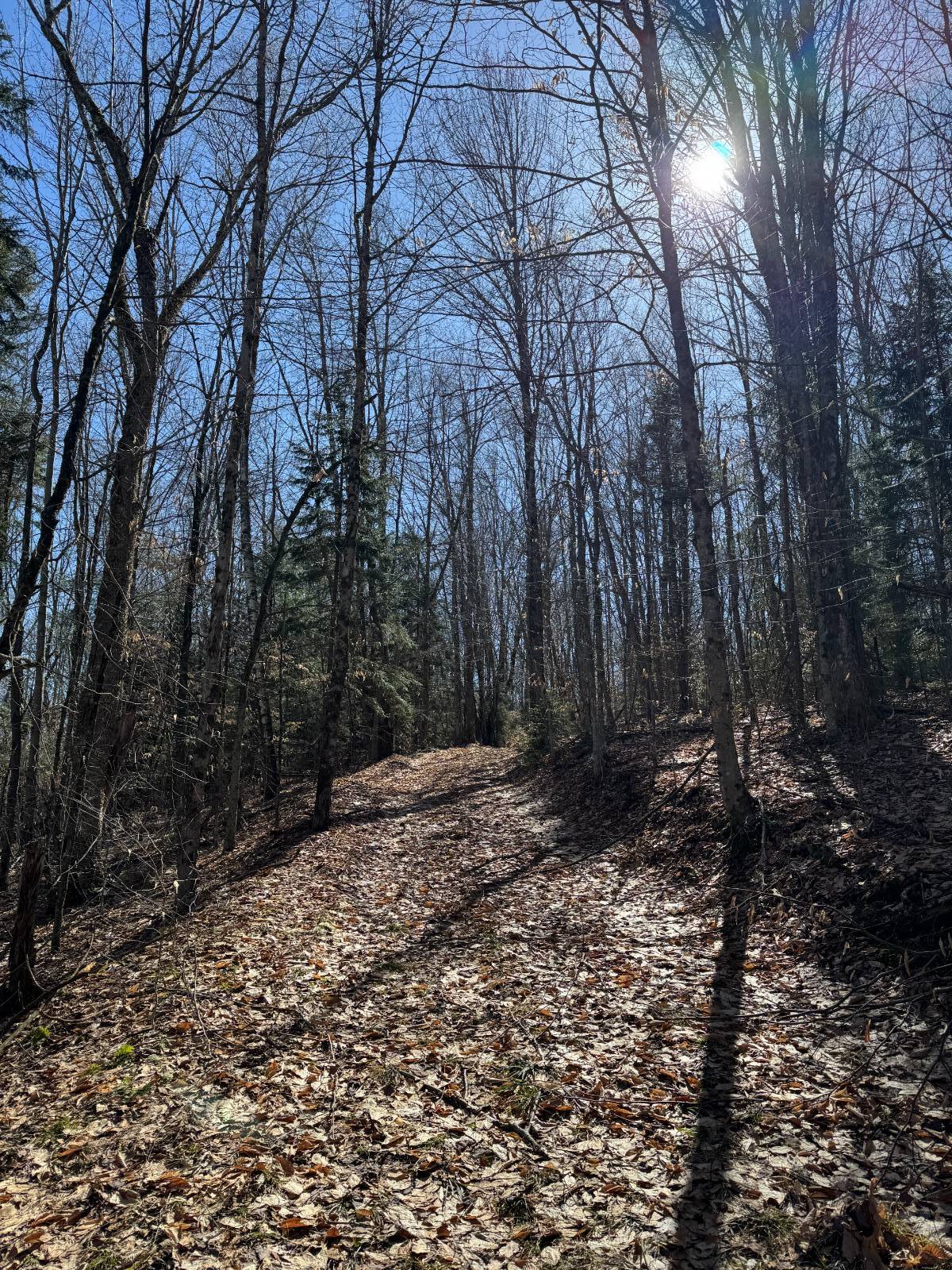 #16 photo, 351 Center Road, 纽约州 Schenevus , NY 12155