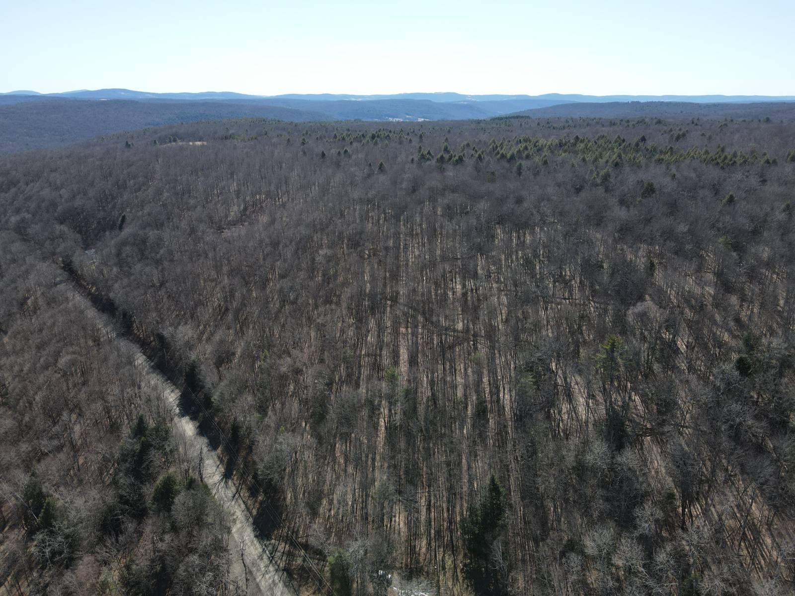 #2 photo, 351 Center Road, 纽约州 Schenevus , NY 12155