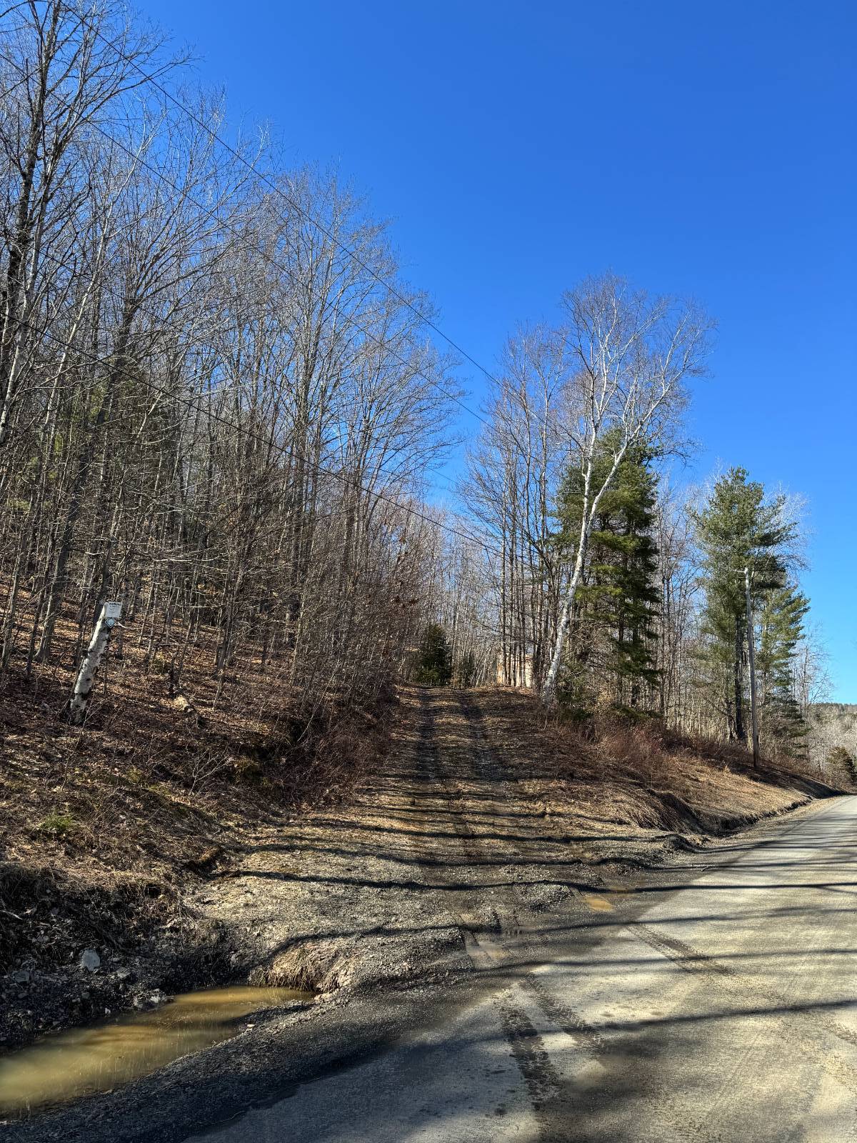 #21 photo, 351 Center Road, 纽约州 Schenevus , NY 12155