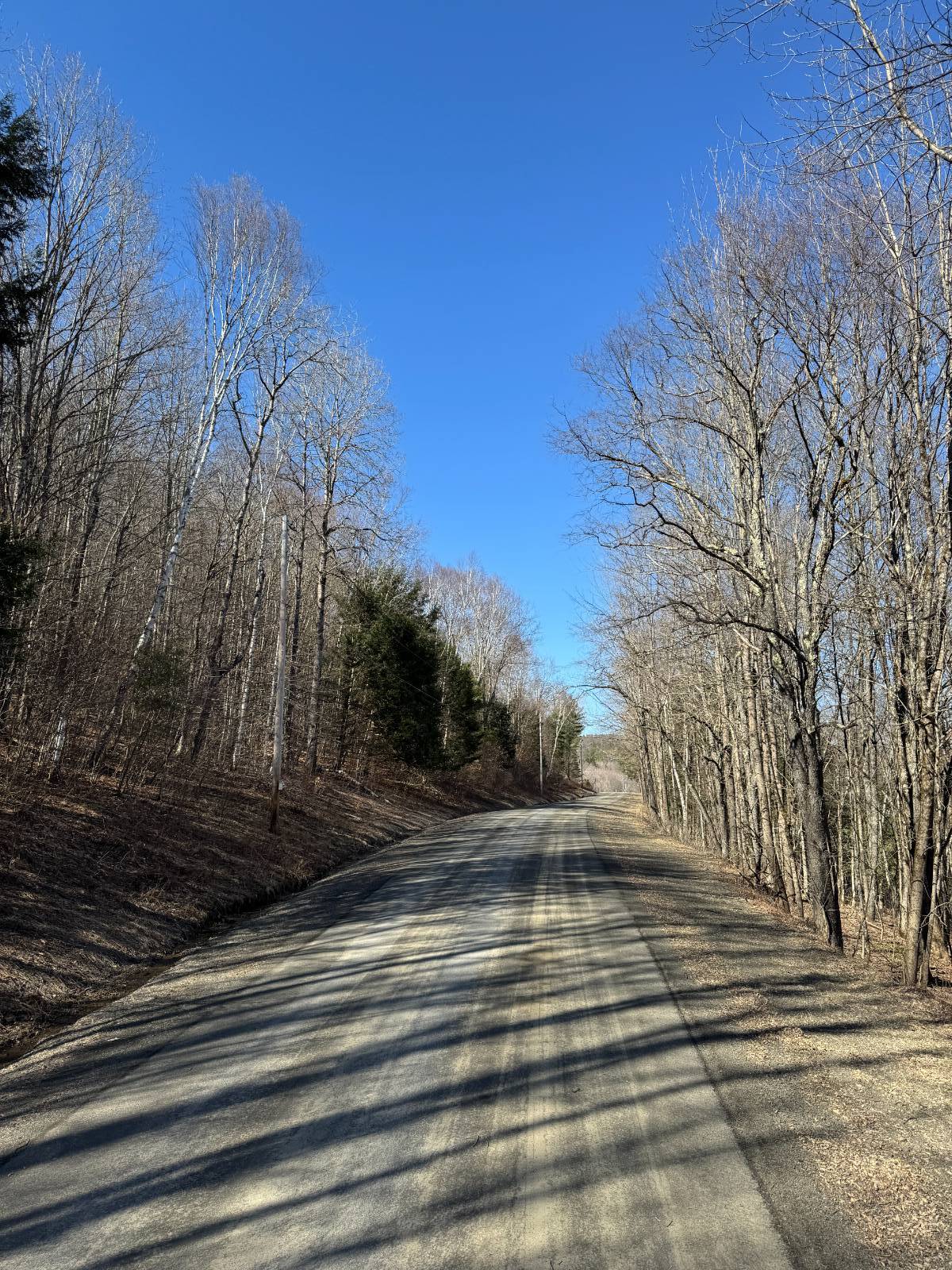 #22 photo, 351 Center Road, 纽约州 Schenevus , NY 12155