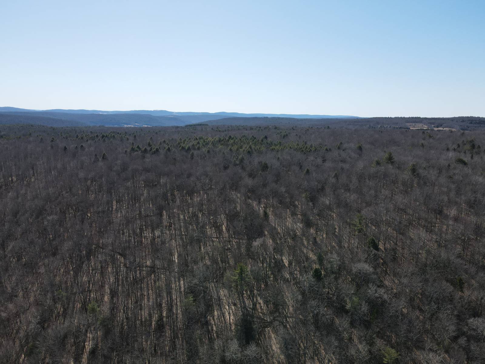 #3 photo, 351 Center Road, 纽约州 Schenevus , NY 12155