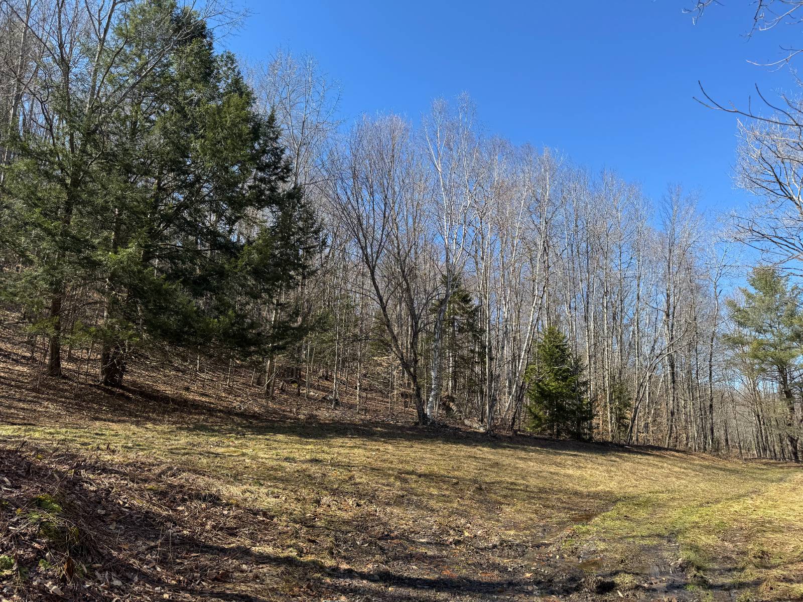 #4 photo, 351 Center Road, 纽约州 Schenevus , NY 12155