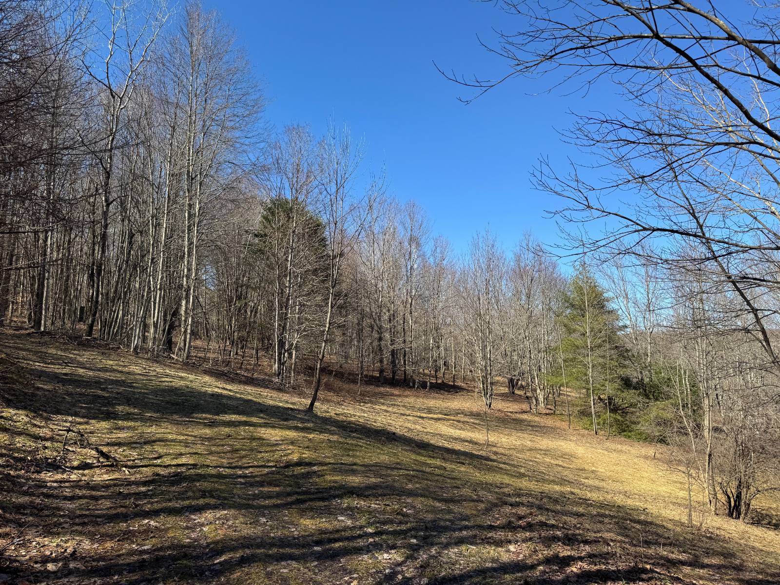 #5 photo, 351 Center Road, 纽约州 Schenevus , NY 12155