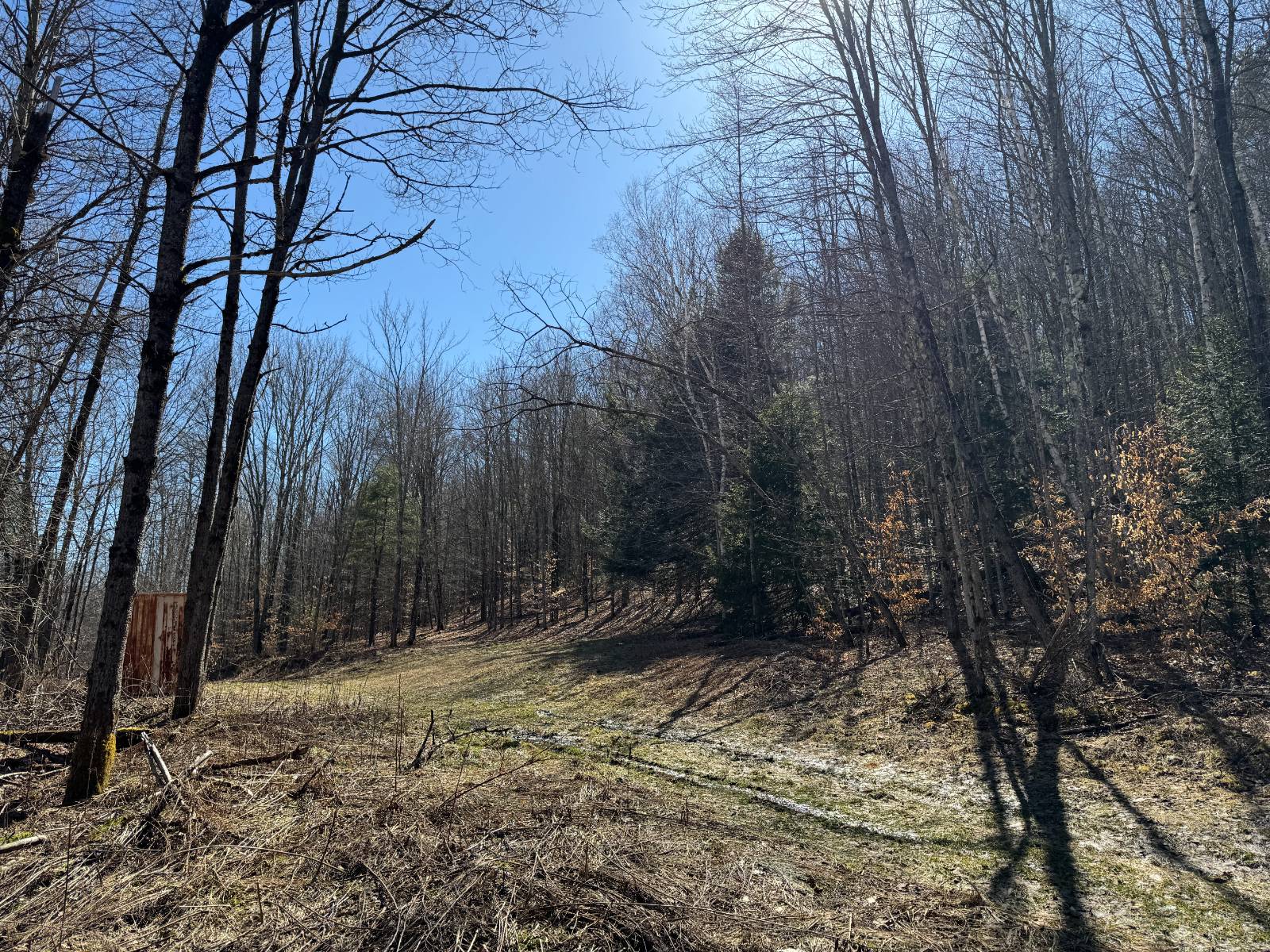 #6 photo, 351 Center Road, 纽约州 Schenevus , NY 12155