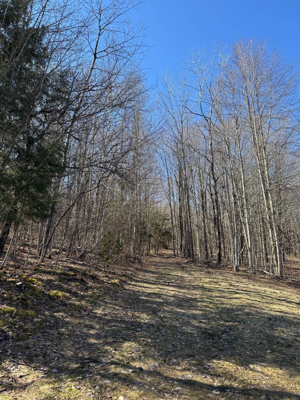 #7 photo, 351 Center Road, 纽约州 Schenevus , NY 12155