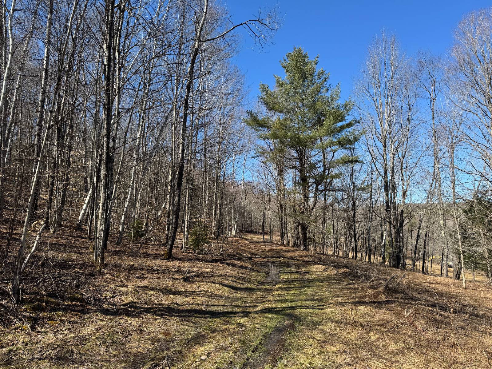 #8 photo, 351 Center Road, 纽约州 Schenevus , NY 12155