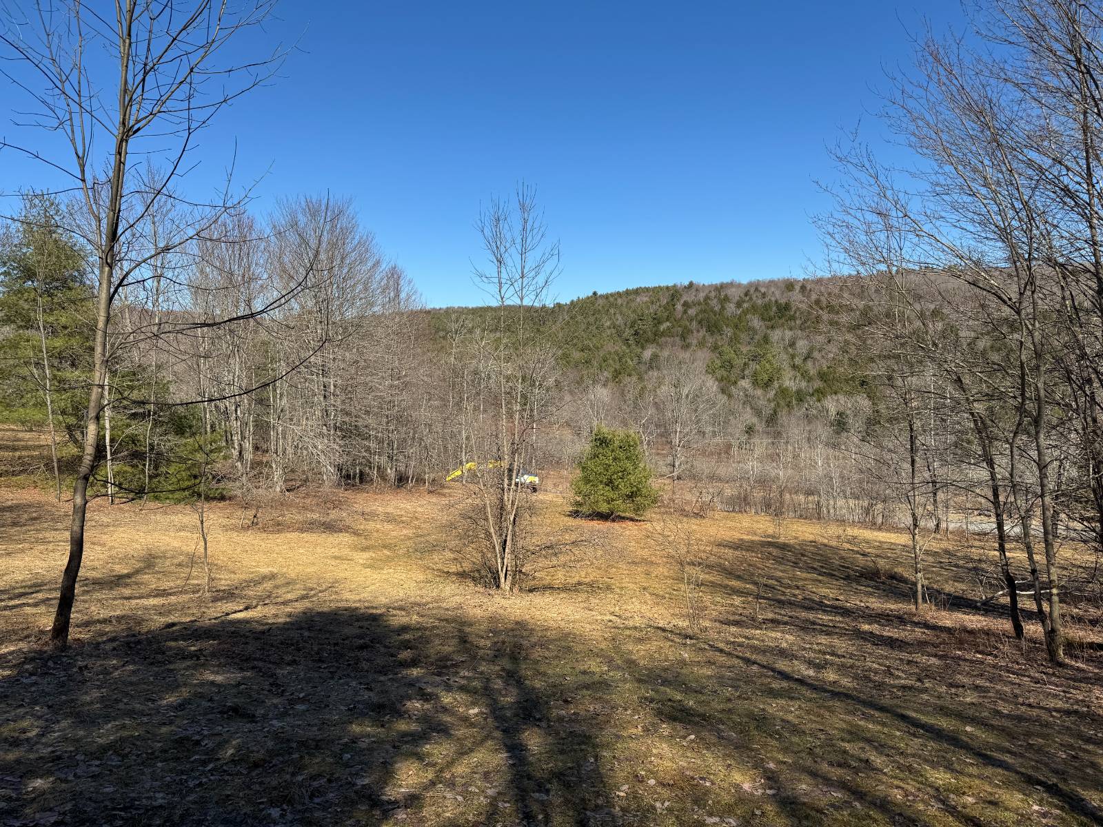 #9 photo, 351 Center Road, 纽约州 Schenevus , NY 12155