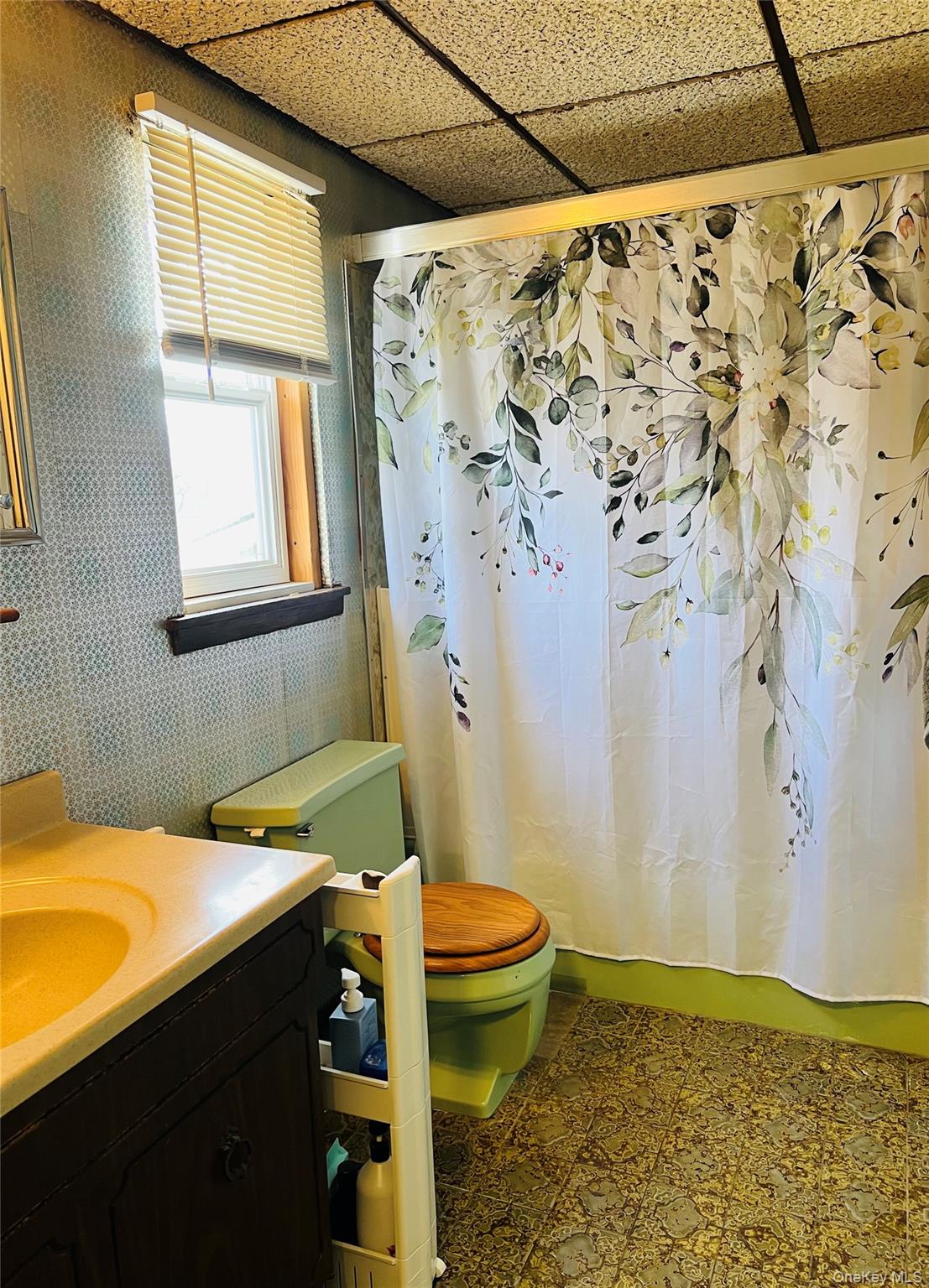 #11 photo, 38 Riviera Drive, Selden , NY 11784