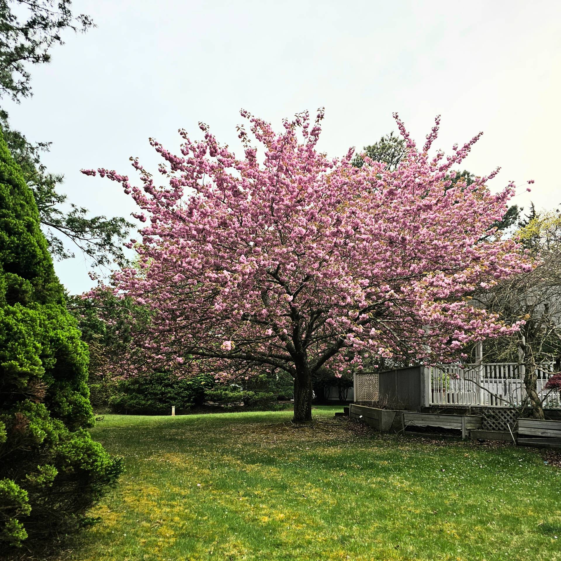 #40 photo, 8 Fiddler Crab Trail, سوفولك Westhampton , NY 11977