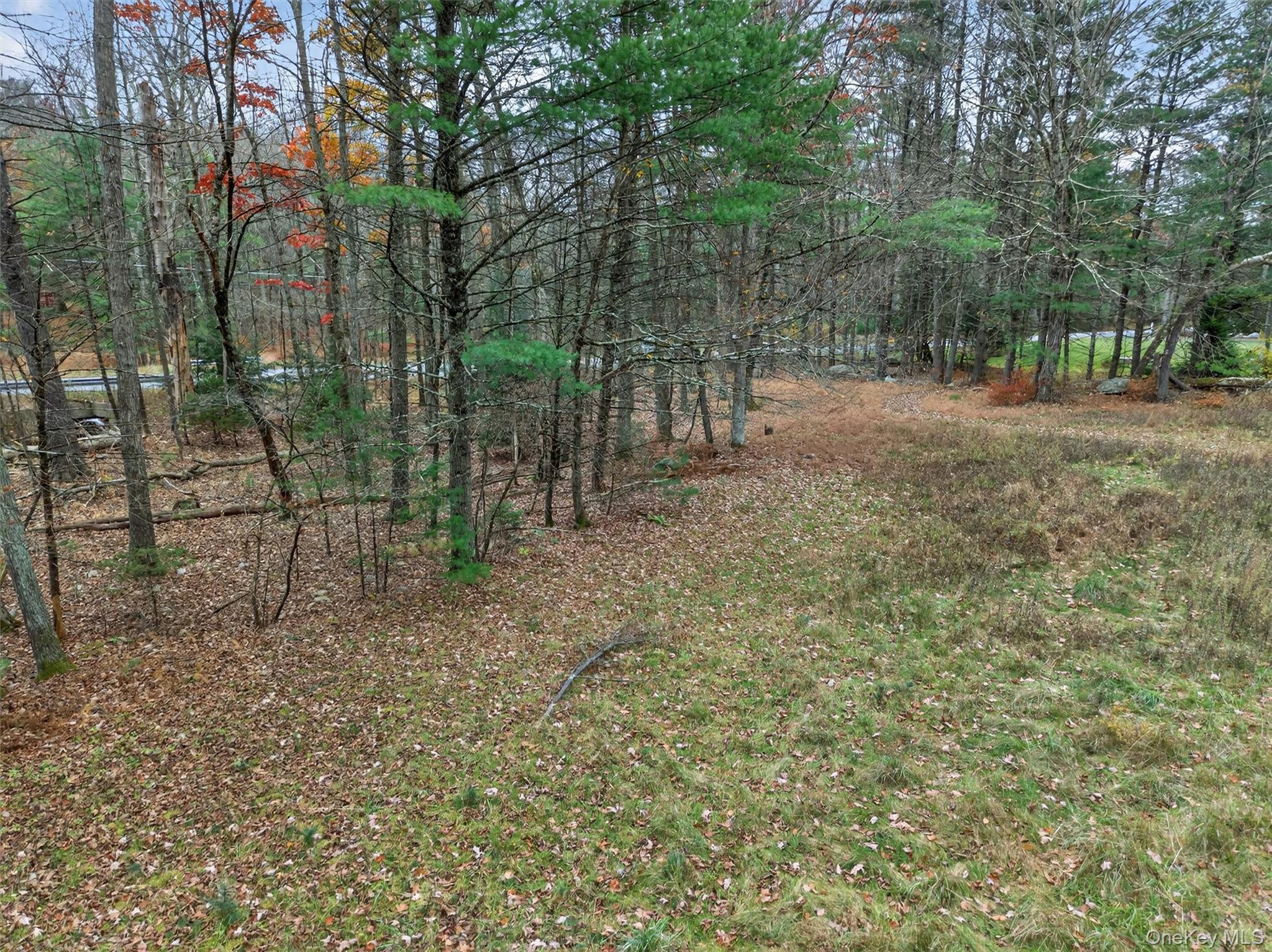 #4 photo, 742 Peenpack Trail, 紐約州 Sparrowbush , NY 12780