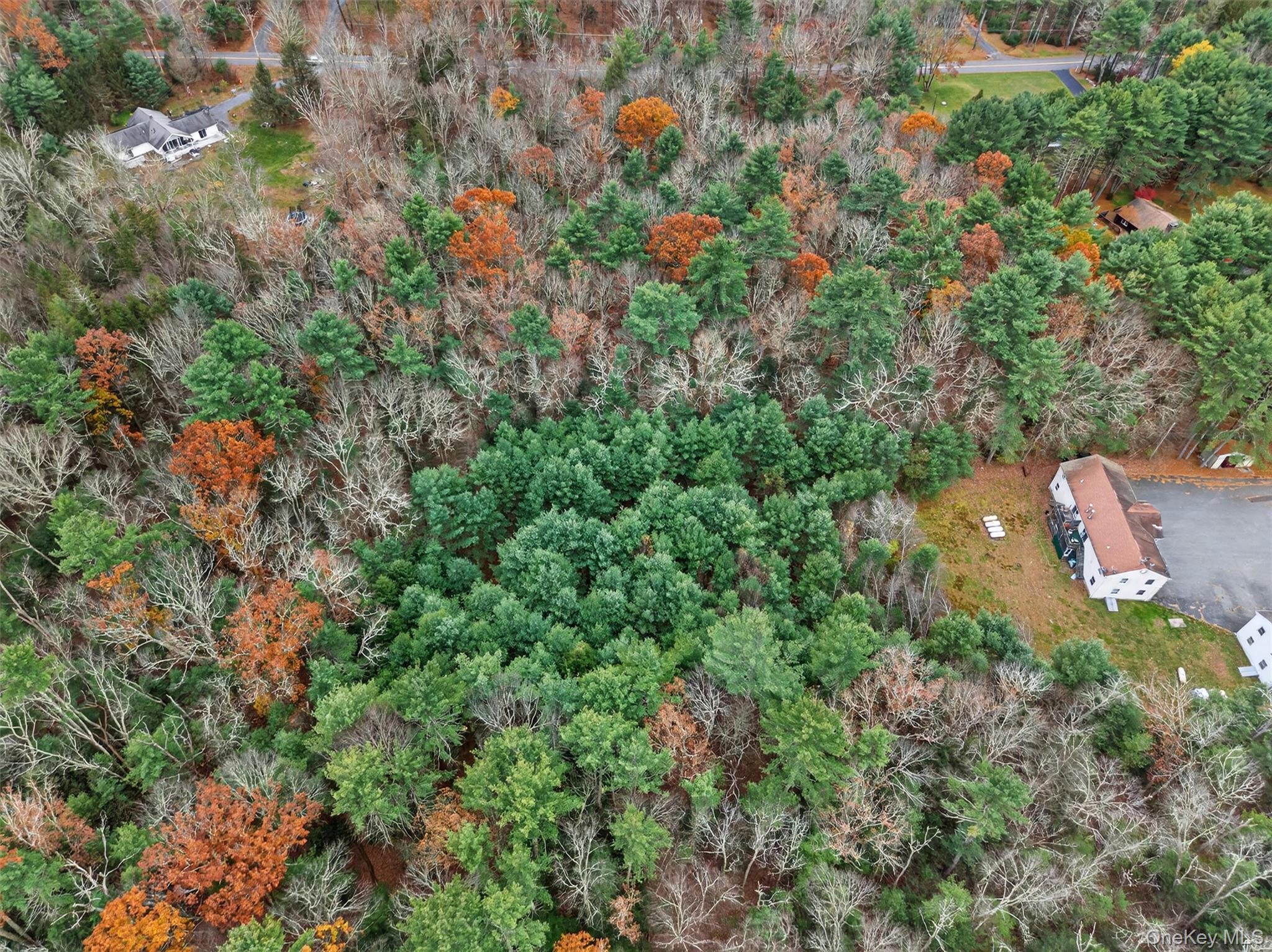 #6 photo, 742 Peenpack Trail, 紐約州 Sparrowbush , NY 12780