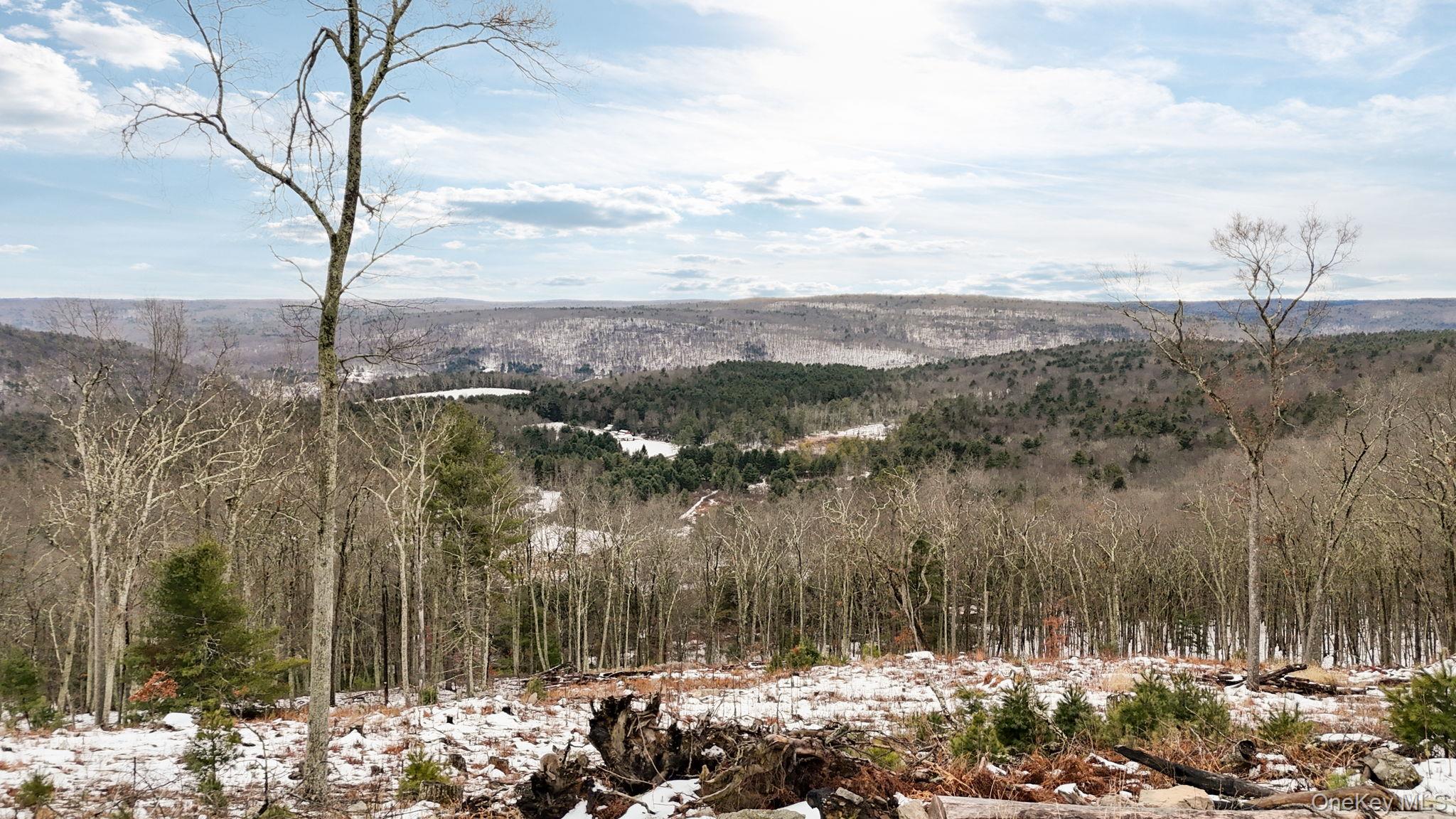 #5 photo, 125 Mapes Road, 뉴욕주 Barryville , NY 12719