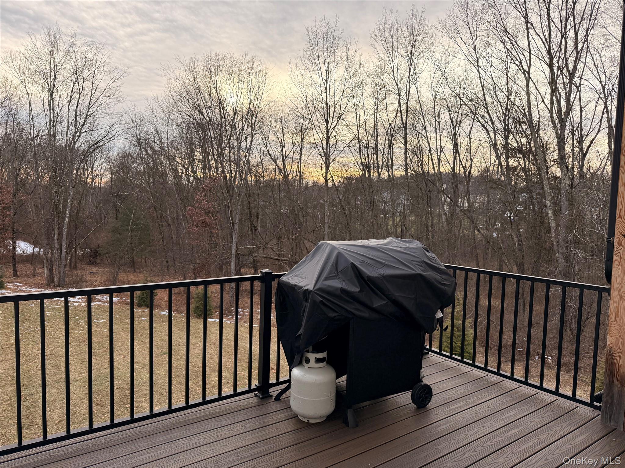 #20 photo, 6 Conifer Court, 뉴욕주 Poughkeepsie , NY 12603