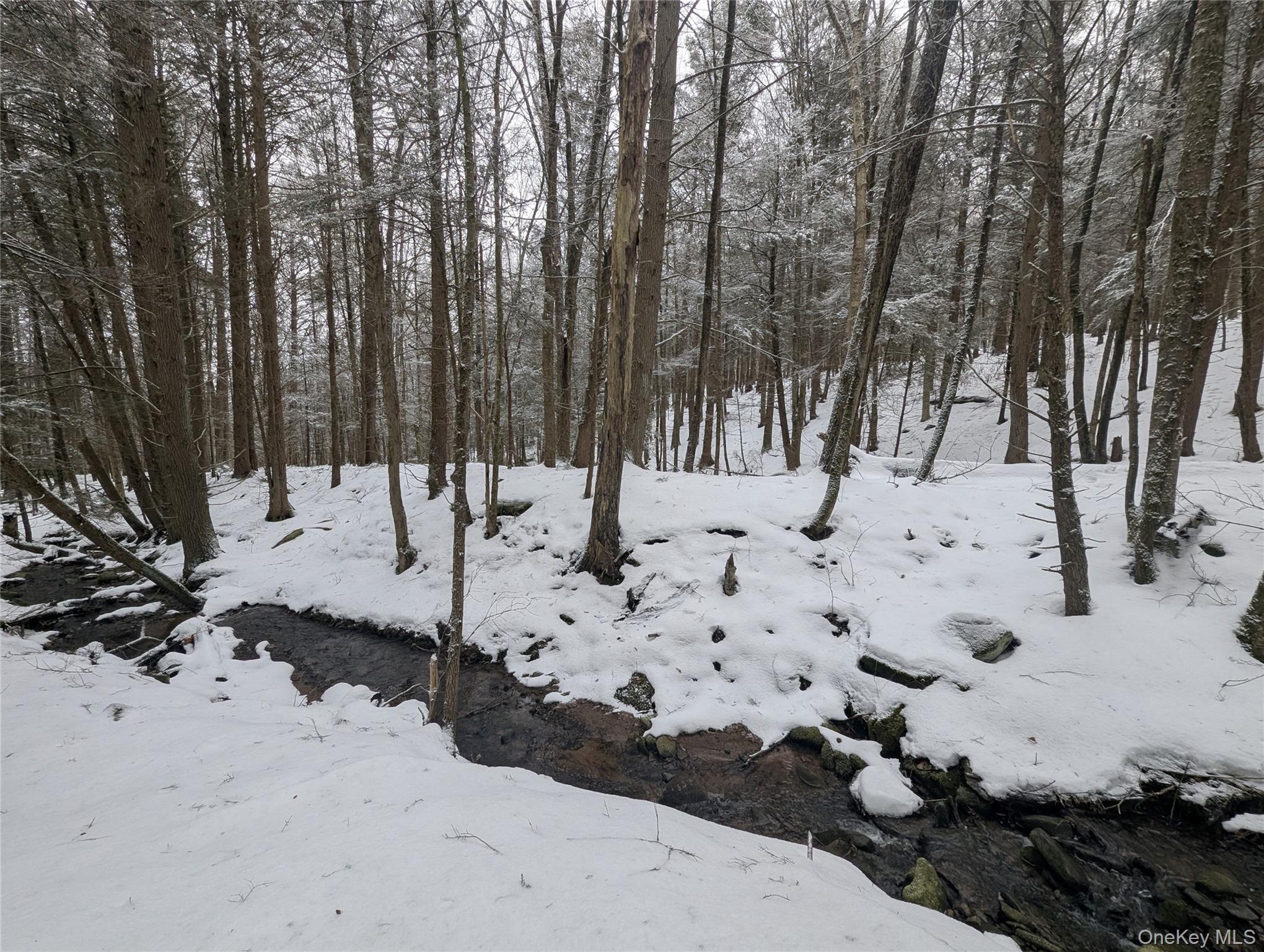 #10 photo, Heinle Road, Swan Lake , NY 12783