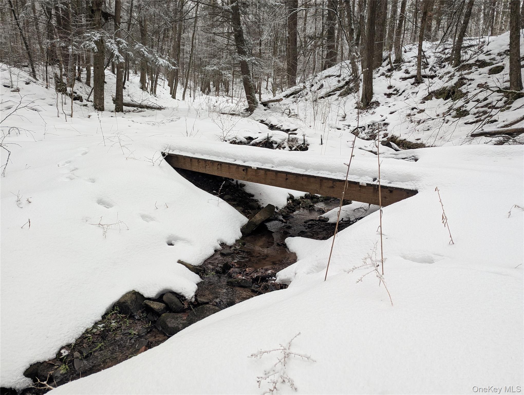 #11 photo, Heinle Road, Swan Lake , NY 12783