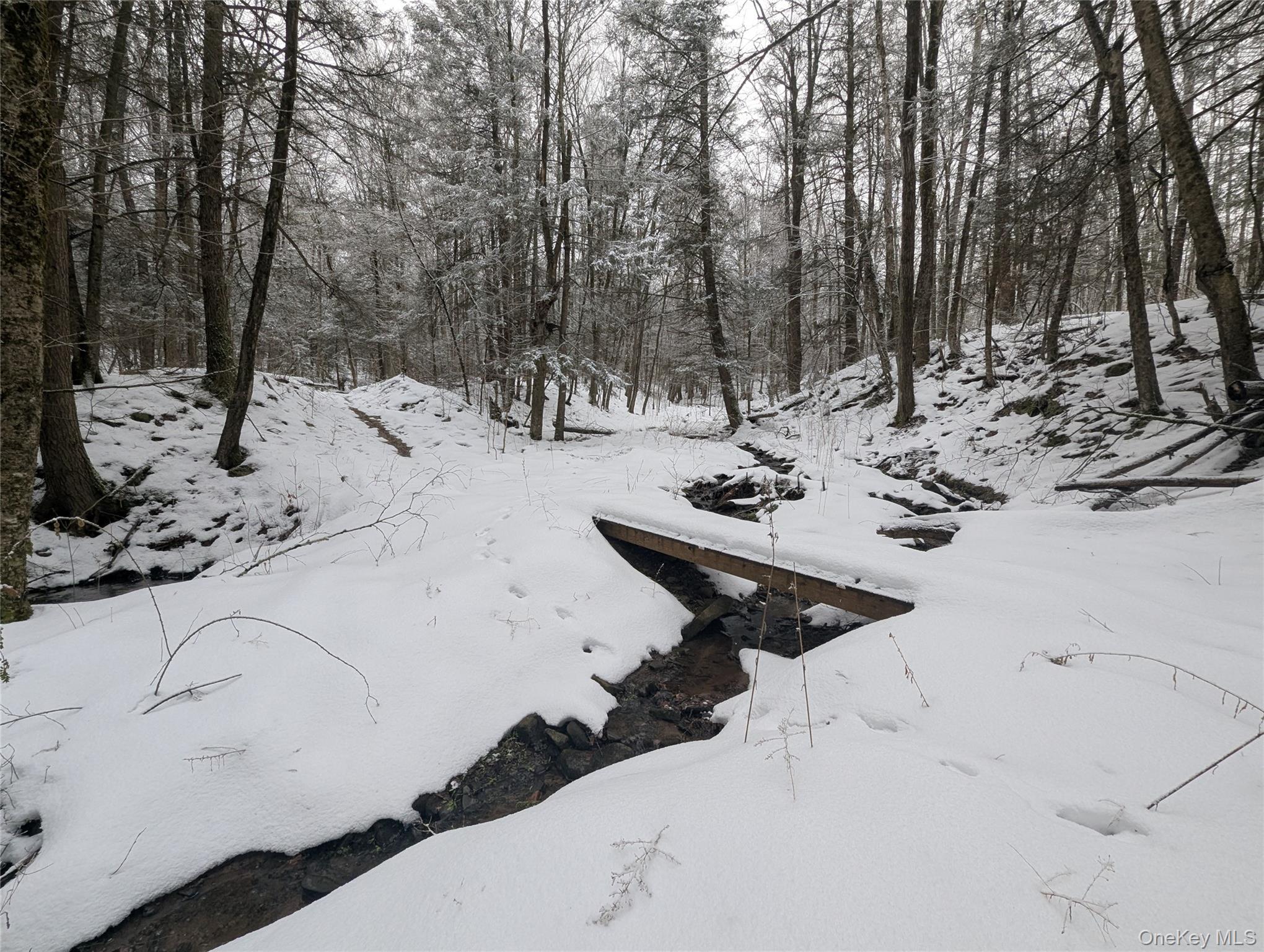 #14 photo, Heinle Road, Swan Lake , NY 12783