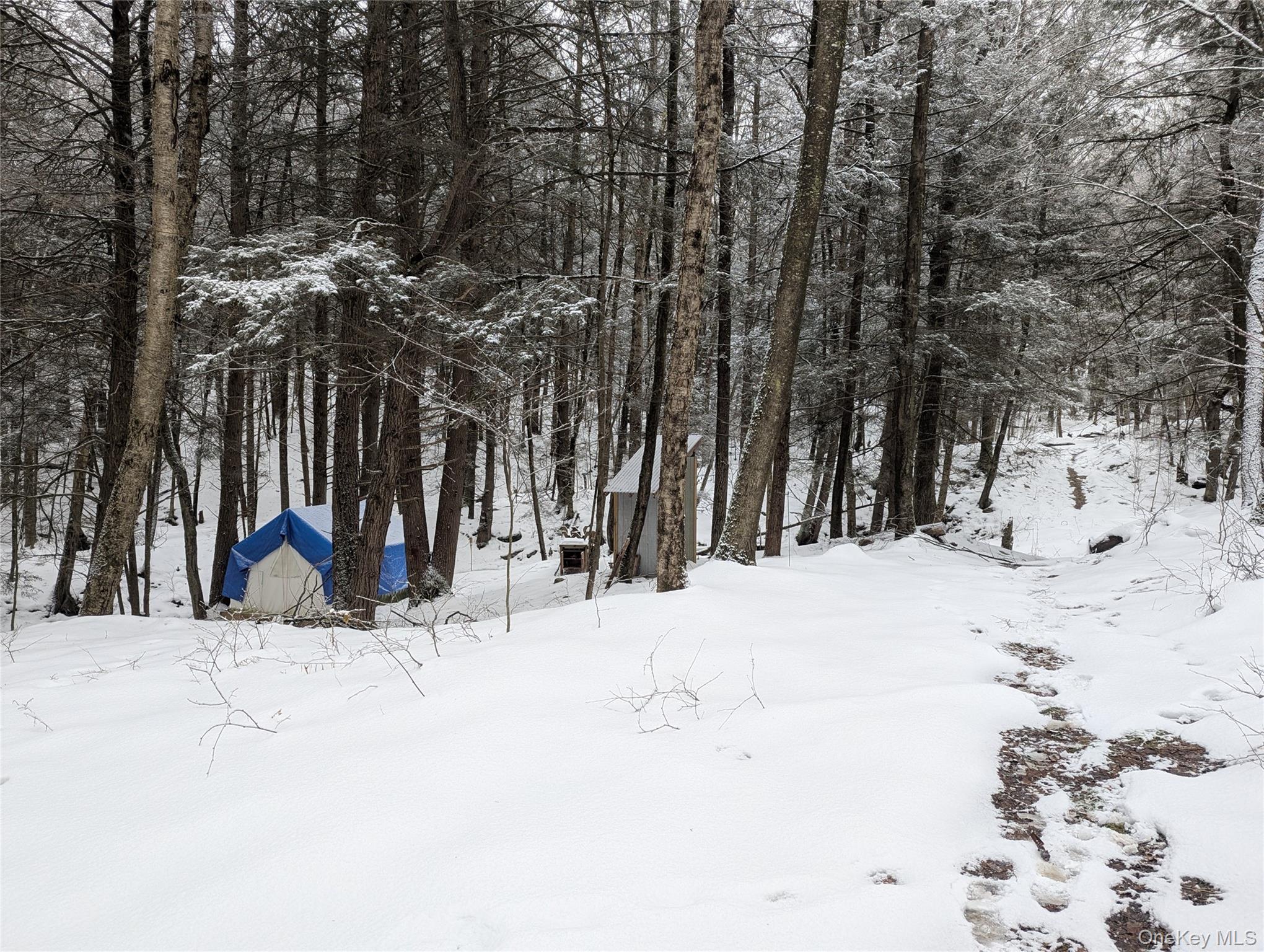 #15 photo, Heinle Road, Swan Lake , NY 12783