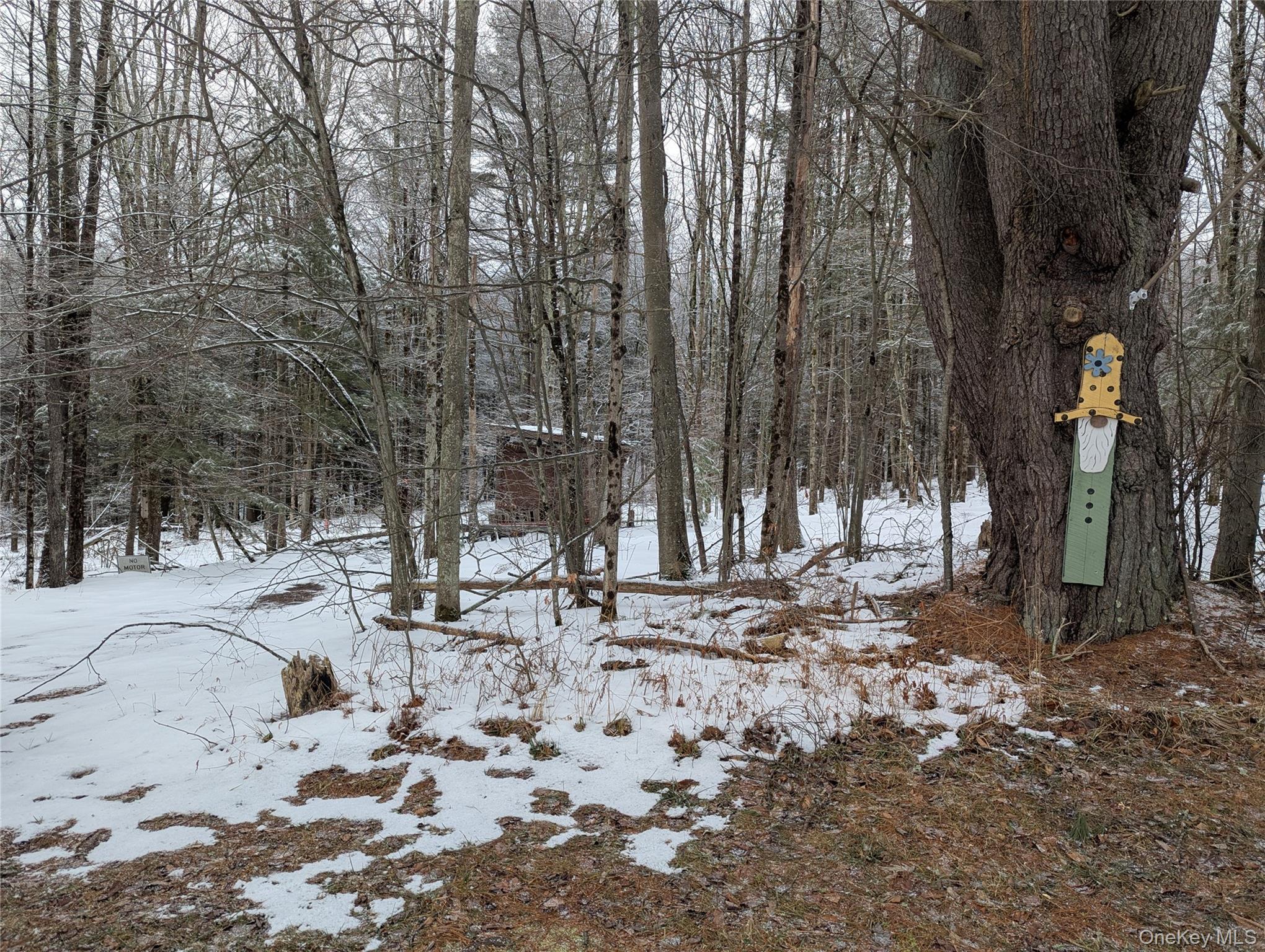 #16 photo, Heinle Road, Swan Lake , NY 12783