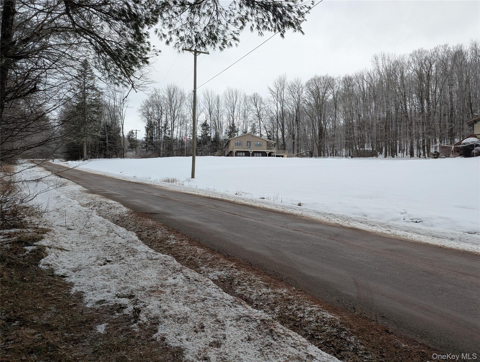 #18 photo, Heinle Road, Swan Lake , NY 12783