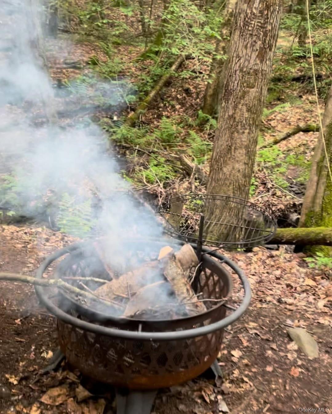 #4 photo, Heinle Road, Swan Lake , NY 12783