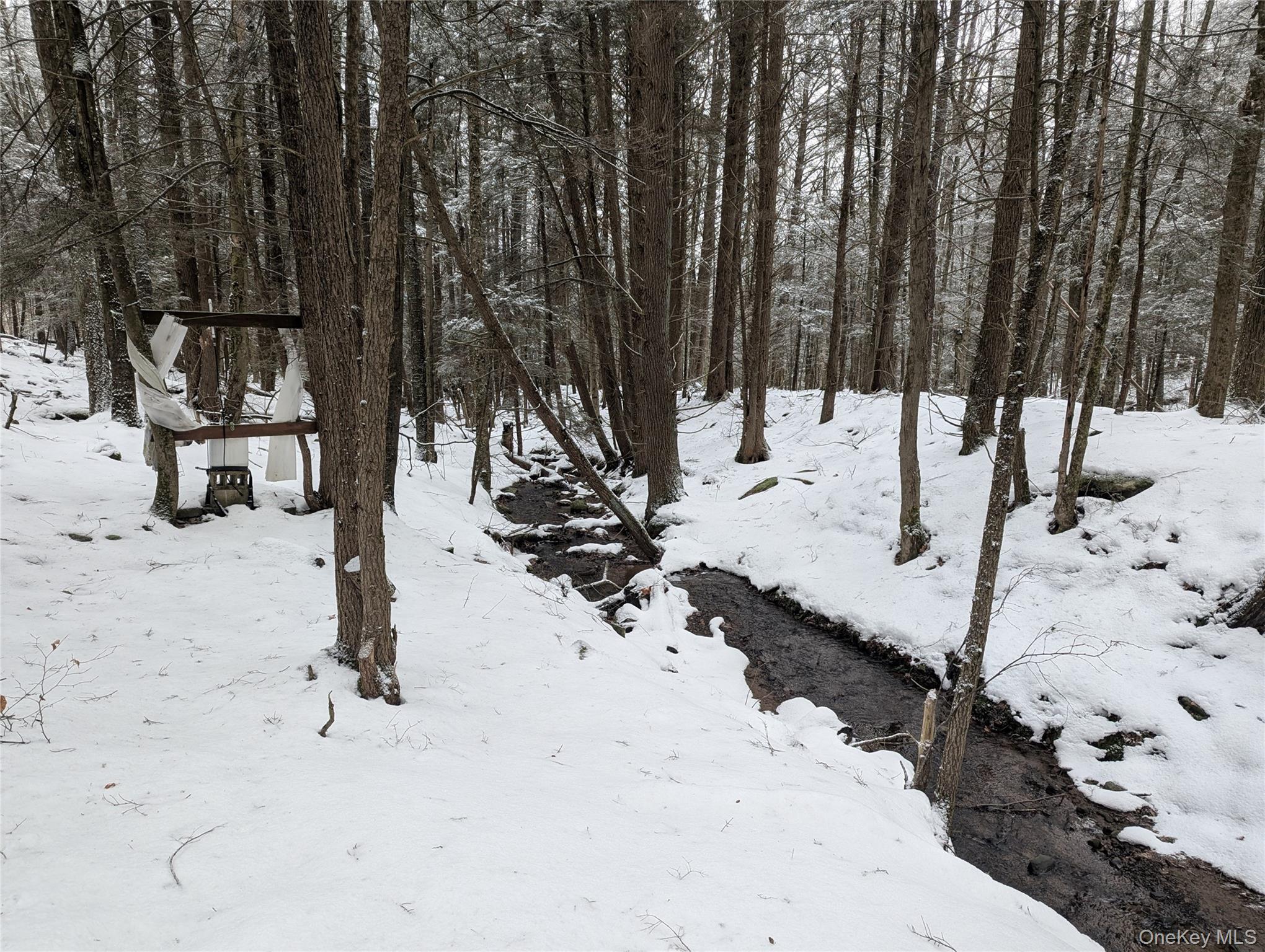 #8 photo, Heinle Road, Swan Lake , NY 12783