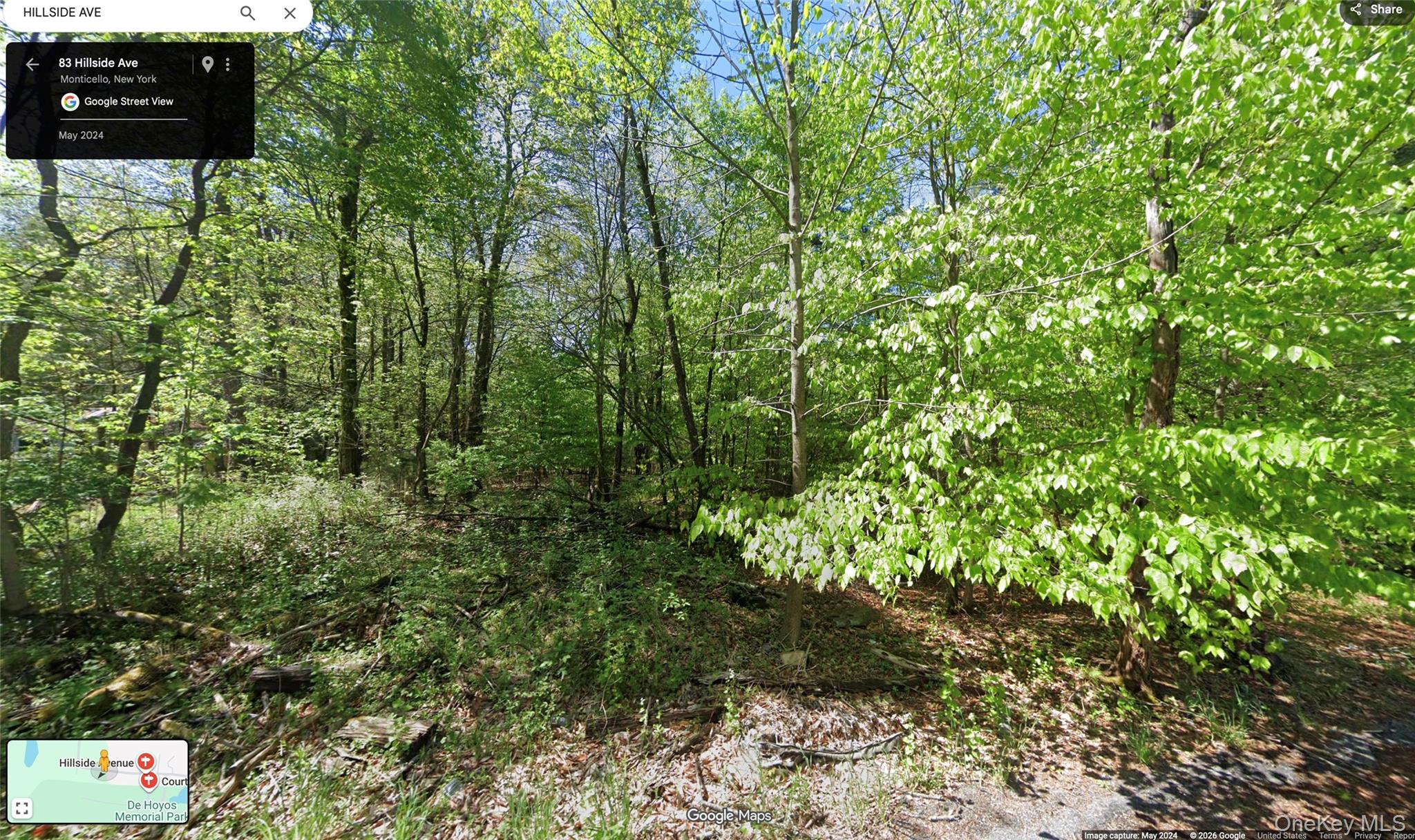 #2 photo, 83 Hillside Avenue, Monticello , NY 12701