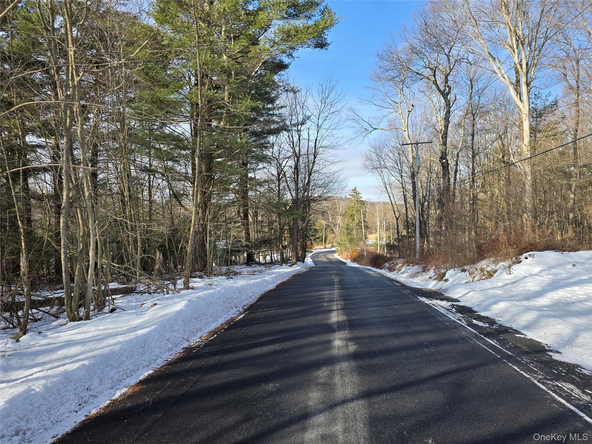 #4 photo, 83 Hillside Avenue, Monticello , NY 12701