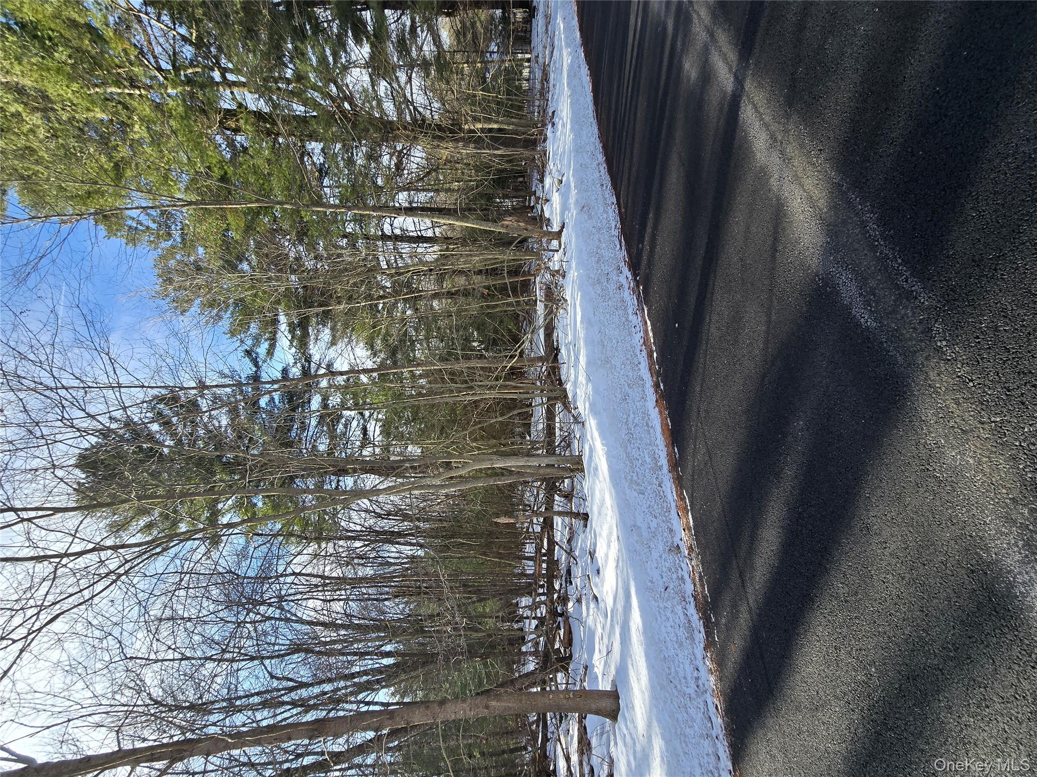 #5 photo, 83 Hillside Avenue, Monticello , NY 12701