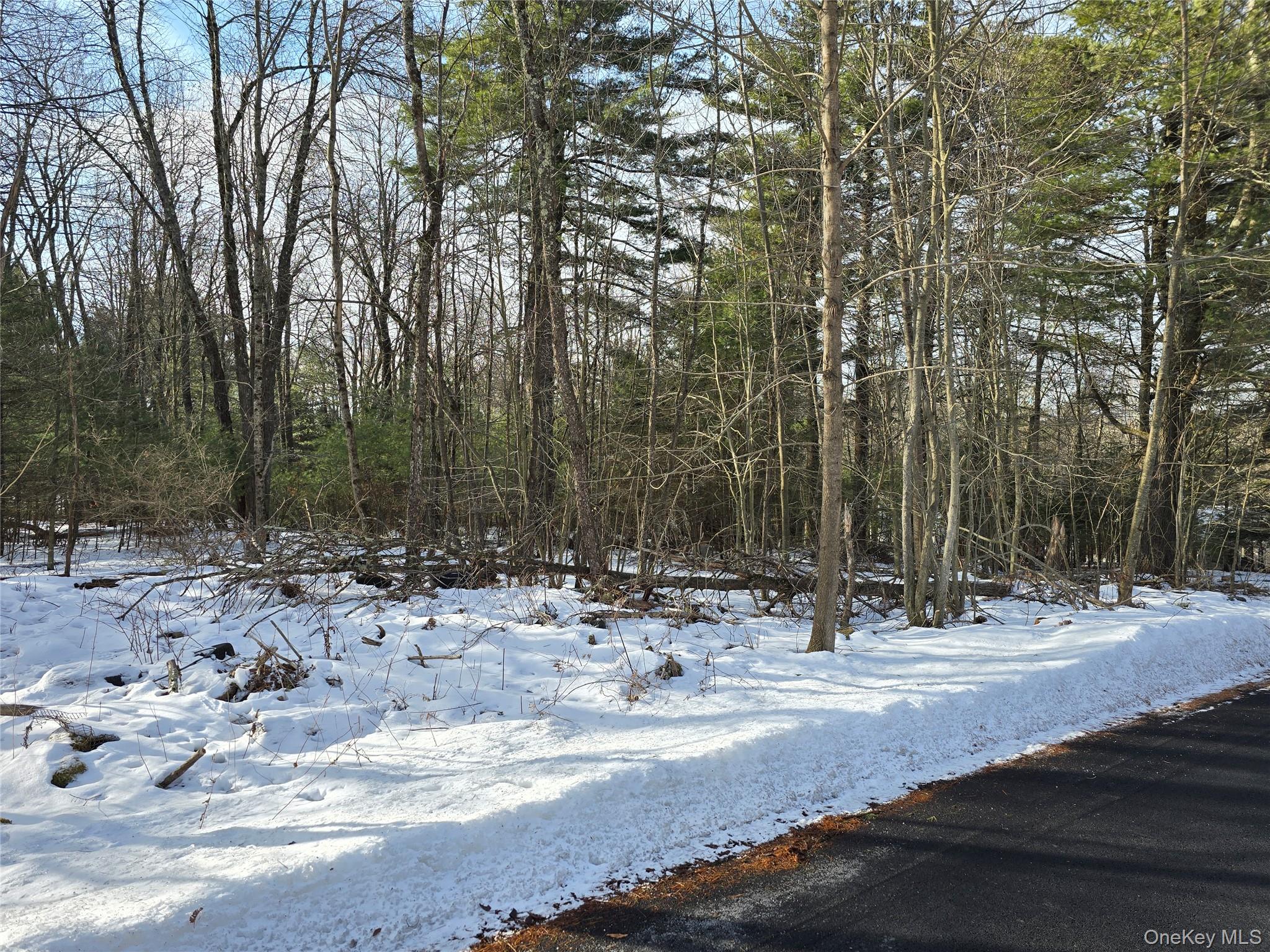 #6 photo, 83 Hillside Avenue, Monticello , NY 12701